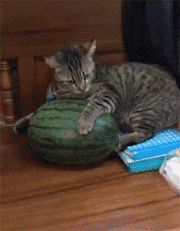 你连山羊的草都不放过啊喂…… ▼ 连猫薄荷都能直接下嘴, 这玩意不