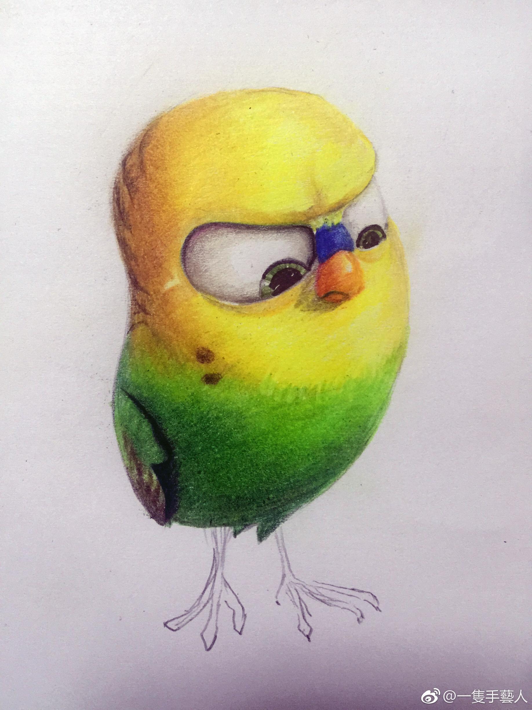 红辉 三福霹雳 动漫小鹦鹉彩铅画投稿