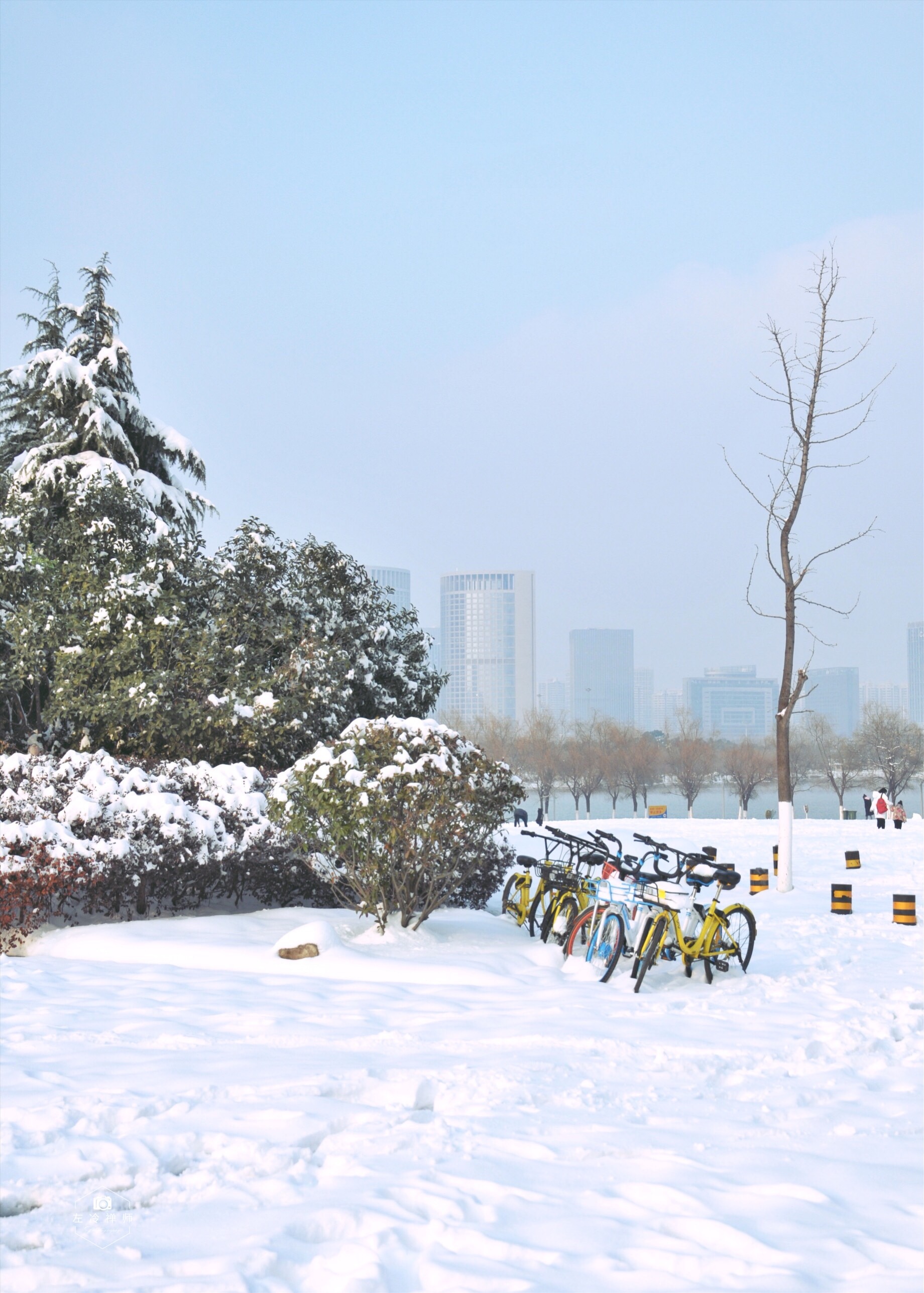 还去什么雪乡,来合肥看雪吧.雪后的天鹅湖,冷冽静谧