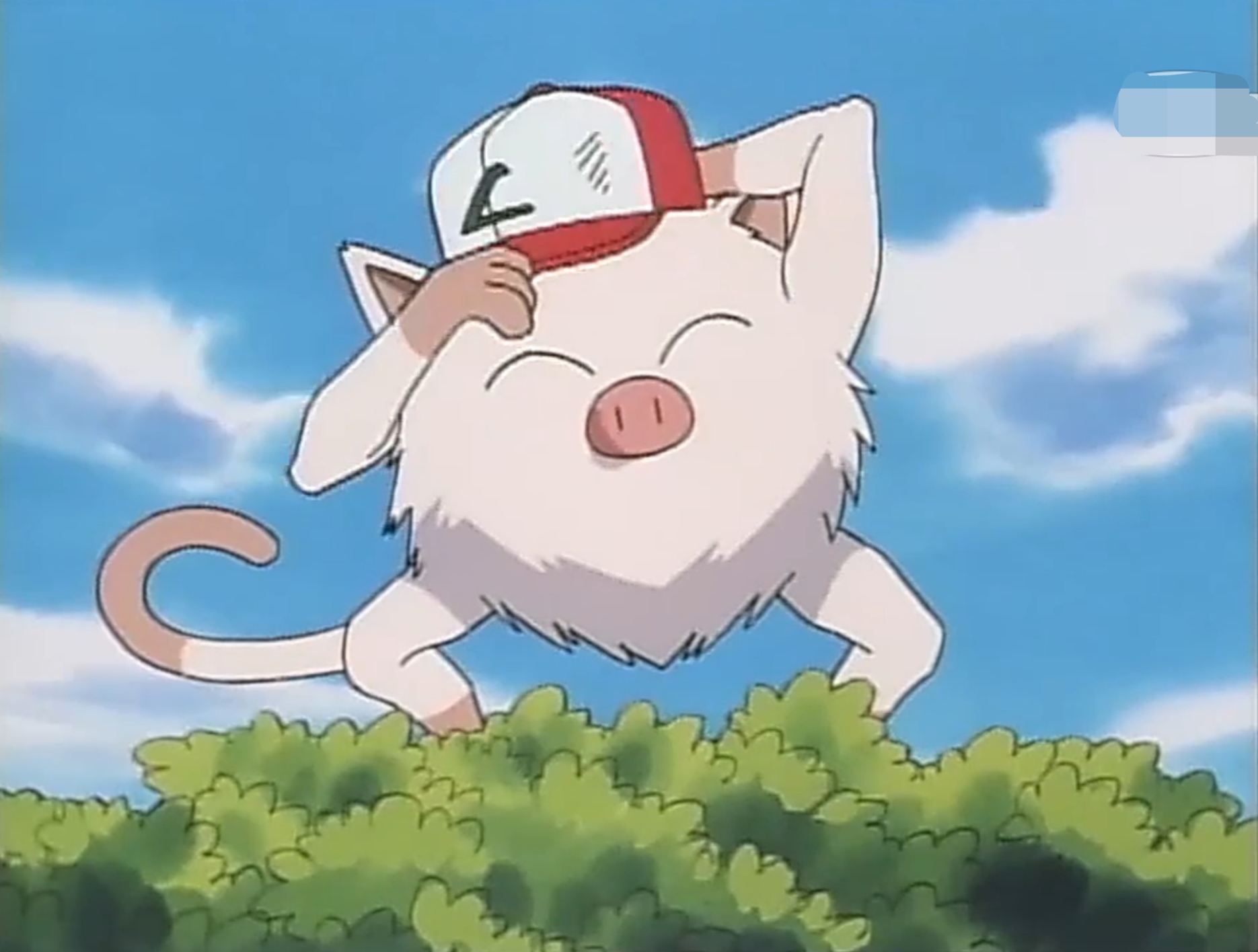 小智跟猴子神奇宝贝挺有缘分的,看来又要收服一只"火爆猴"啦?