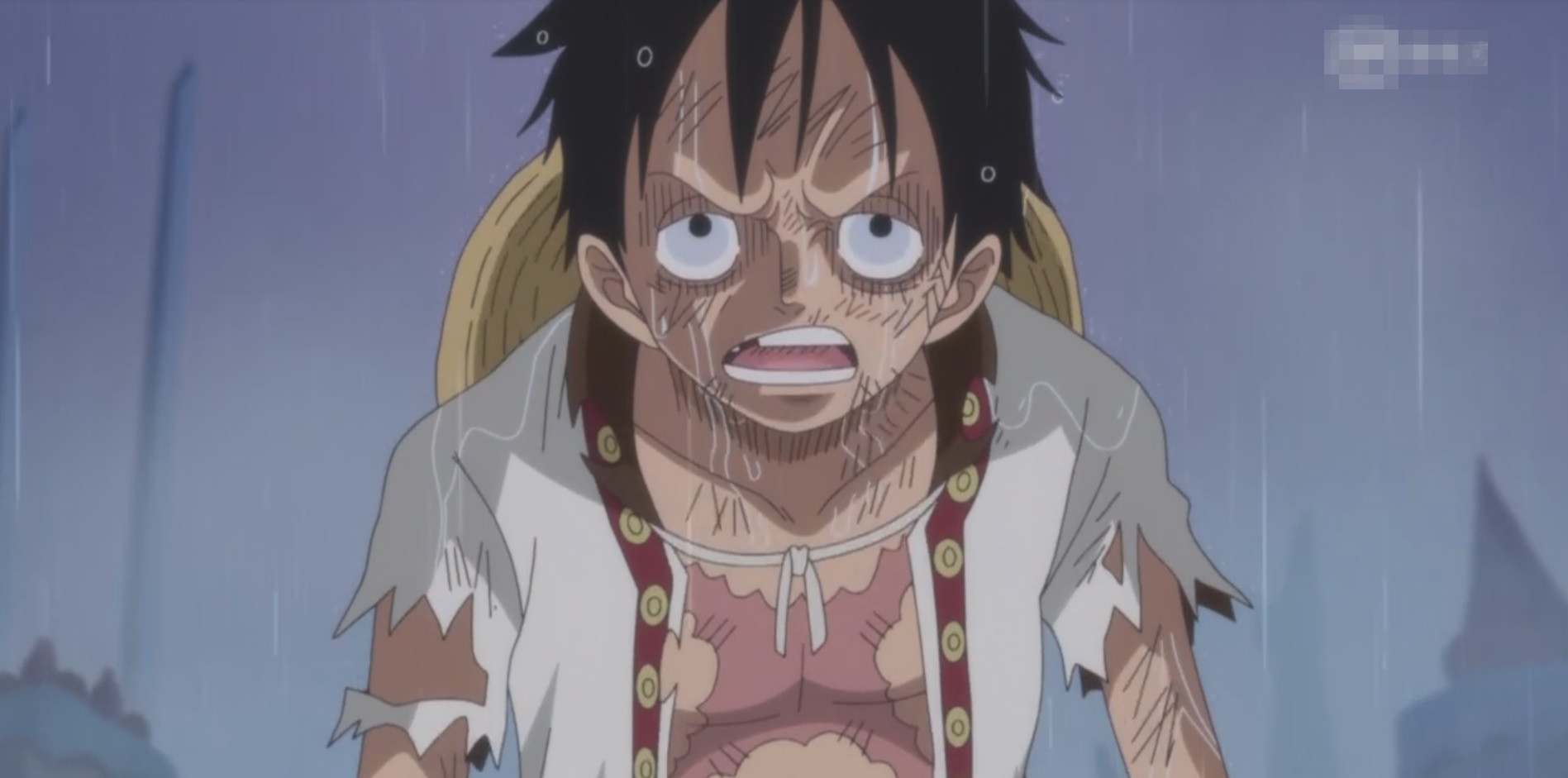 海贼王最新话加洛特令人喷饭的画工路飞要回约定之地