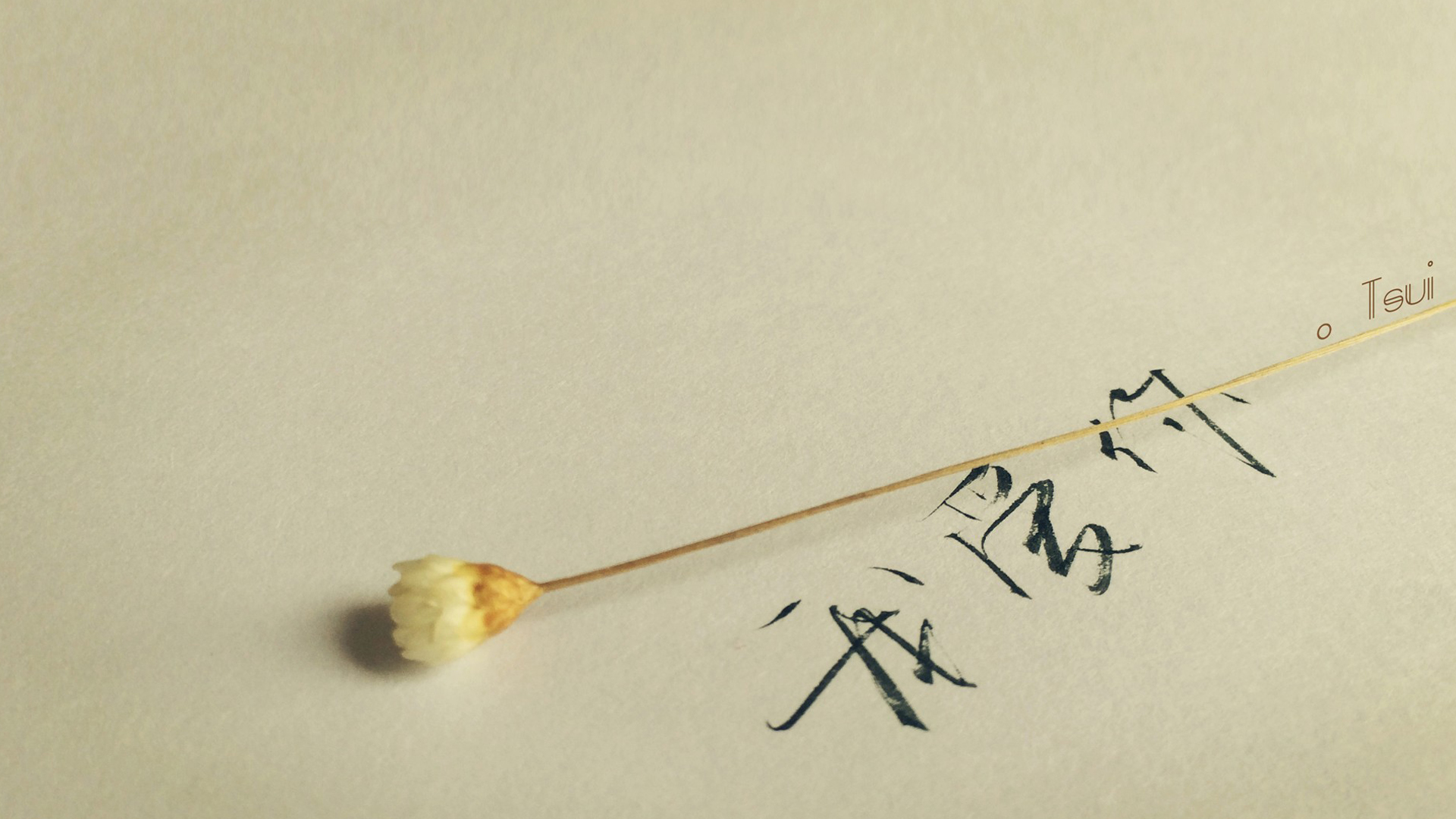 走心的句子简短一句话,句句说到心坎