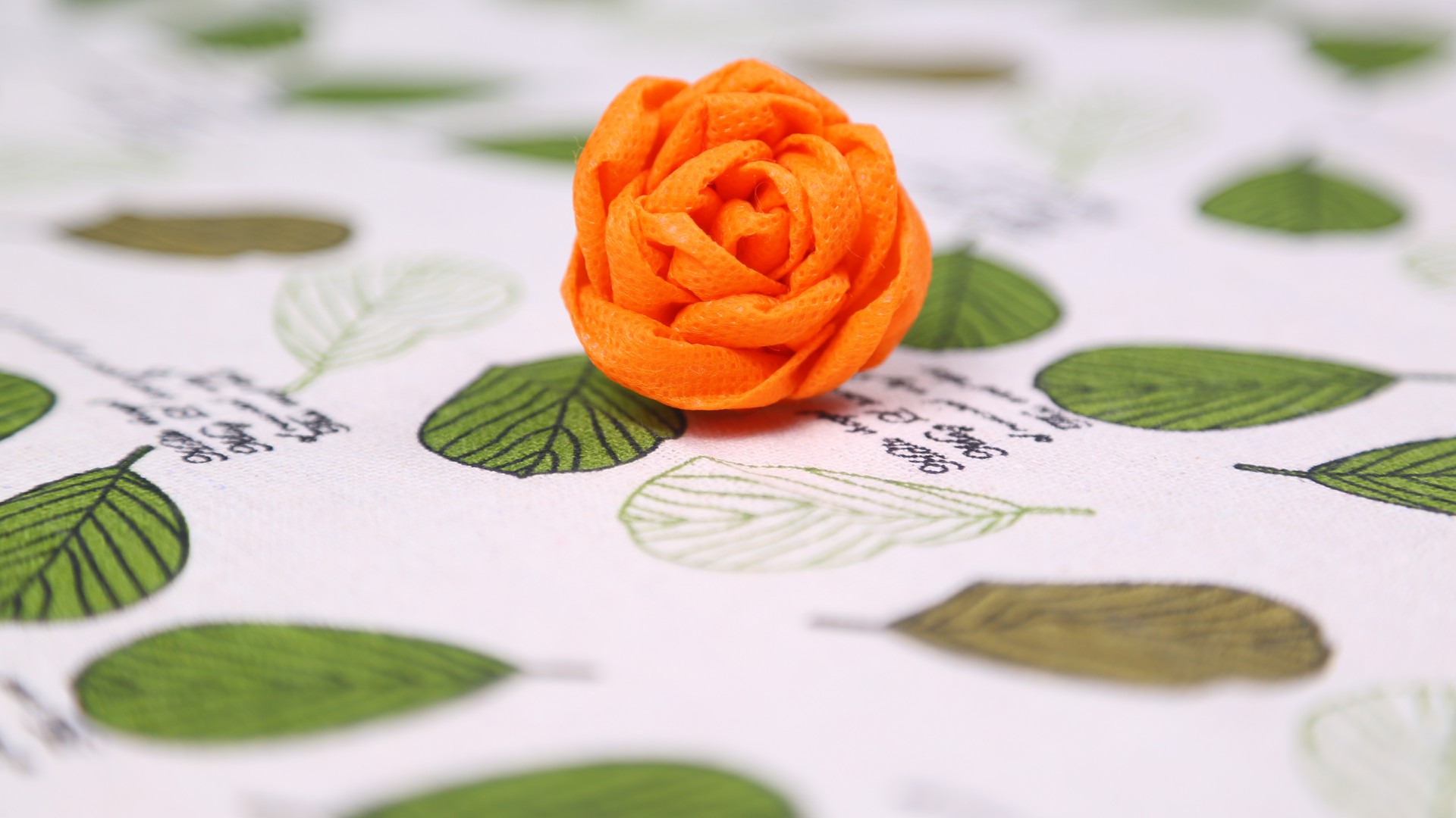 剪开做个它,好漂亮,废物利用又变废为宝了|购物袋|漂亮|花瓣_新浪新闻