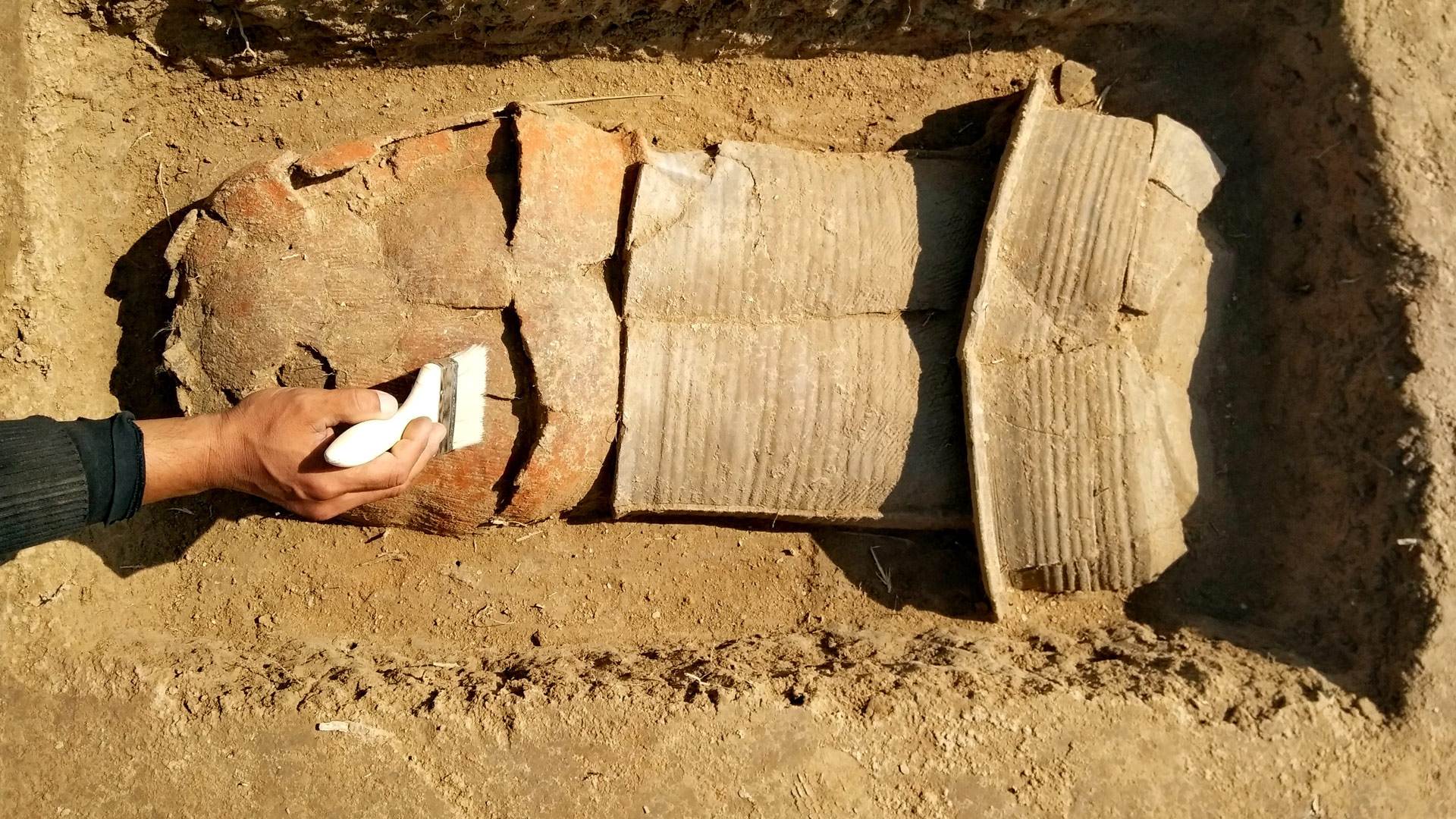 最小的为初生婴儿