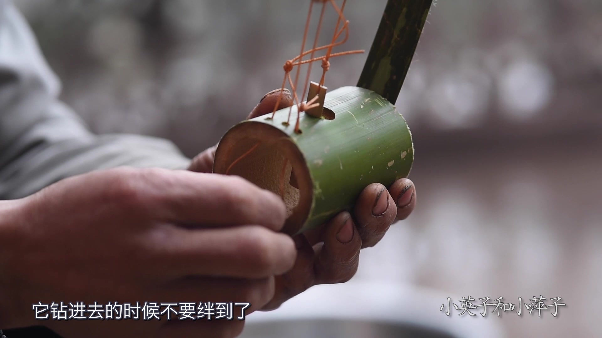 竹子制作的捕鼠神器,简单实用效果好,.