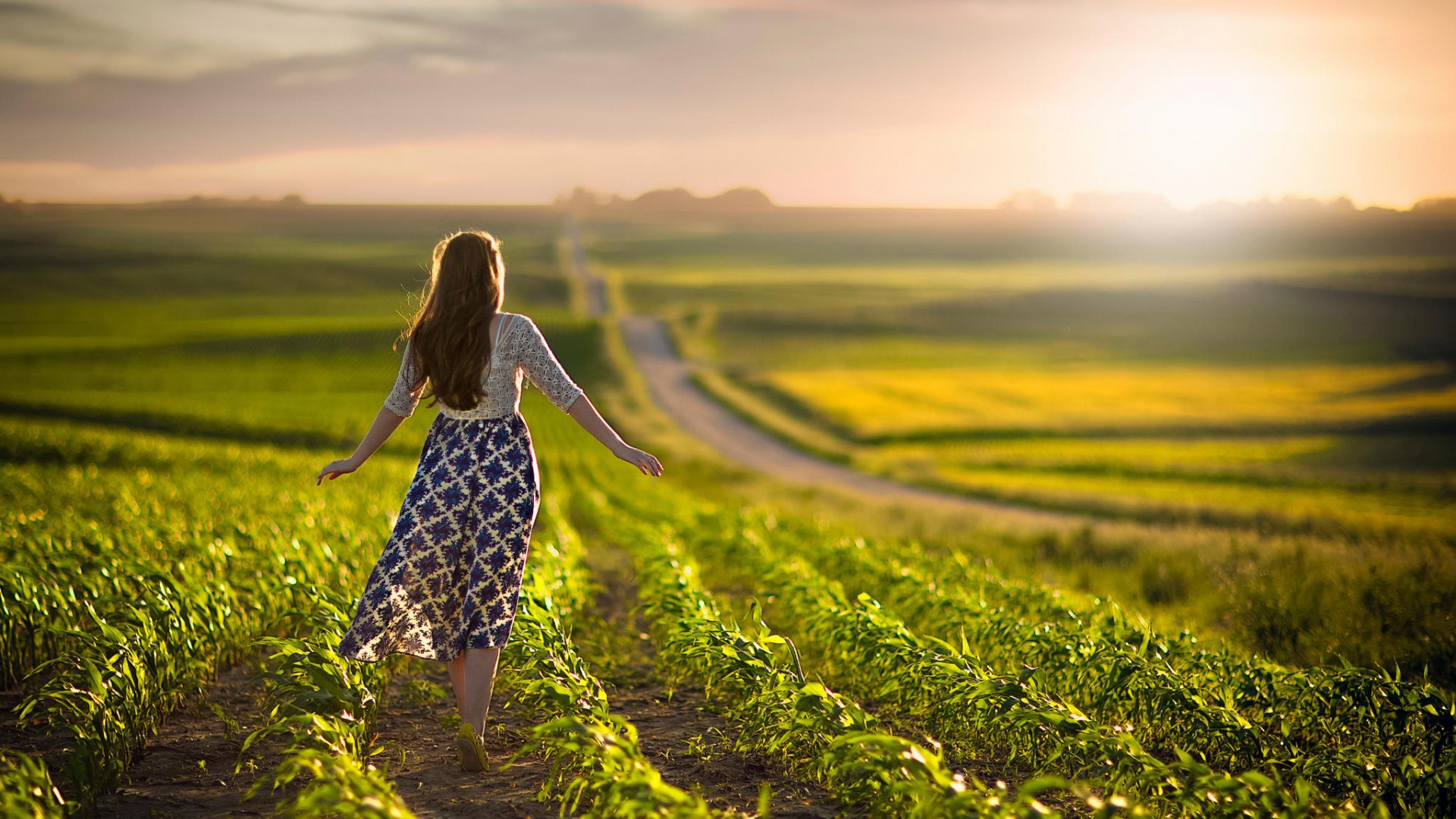 养养花,养养鱼,享受自然之美不是很好吗?