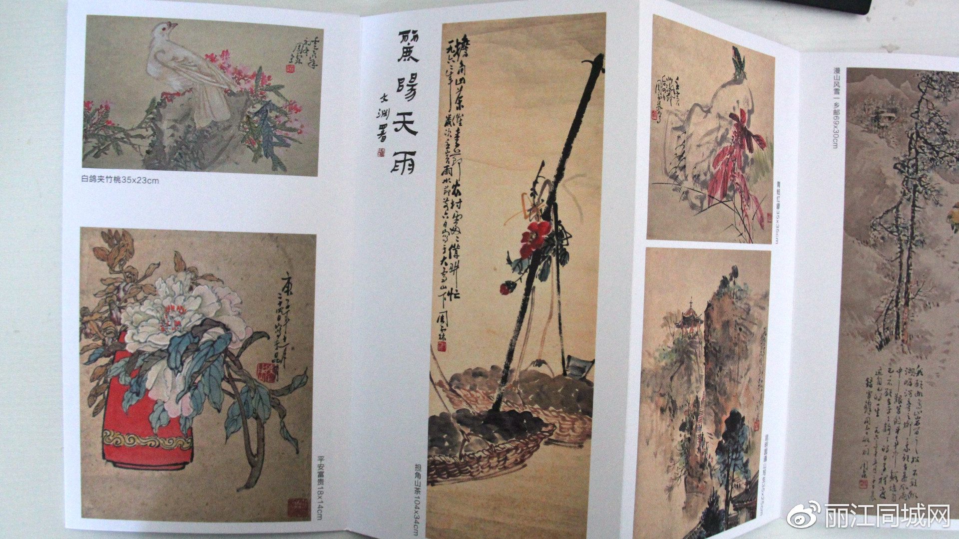 玉龙文脉清心轩书画展开始啦快来玉龙县文化馆一睹名作风采