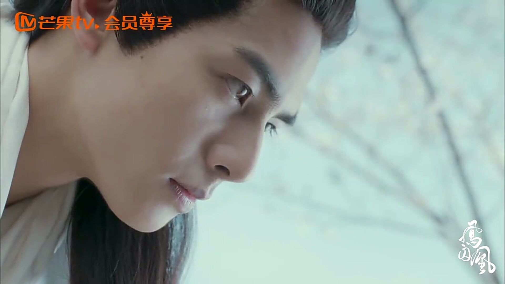 "凤囚凰"容止检查真假楚玉的方式都有套路