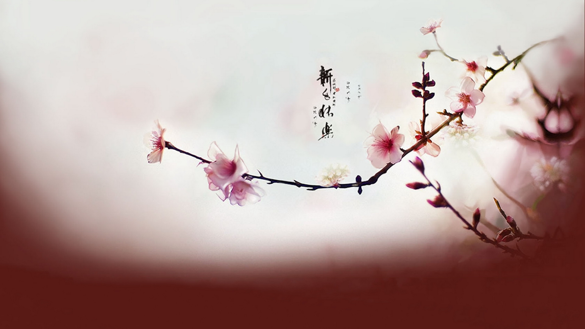 这3生肖的朋友注意了"3秒打开有惊喜",接住马上有"财"