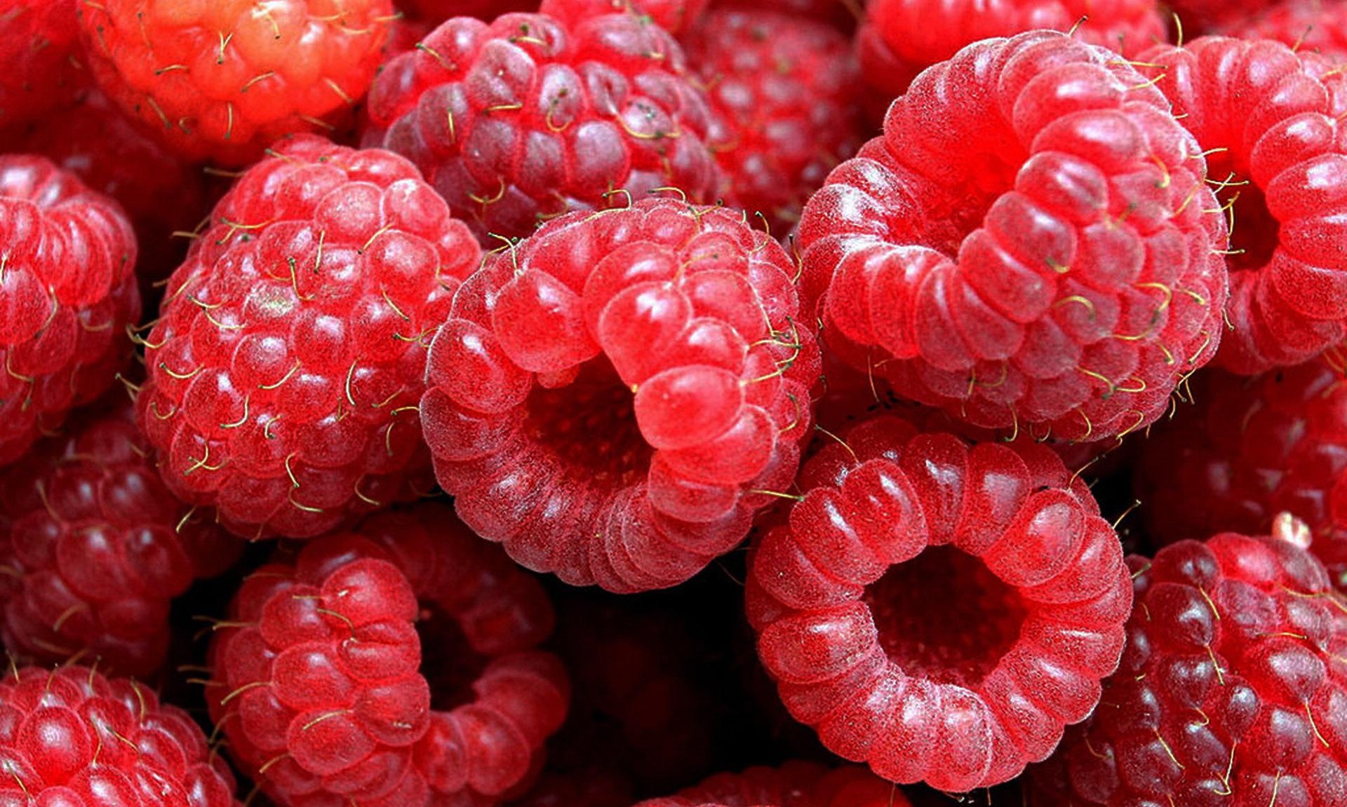 农村一种常见野果酸甜可口还能补肾城里却卖200元一斤