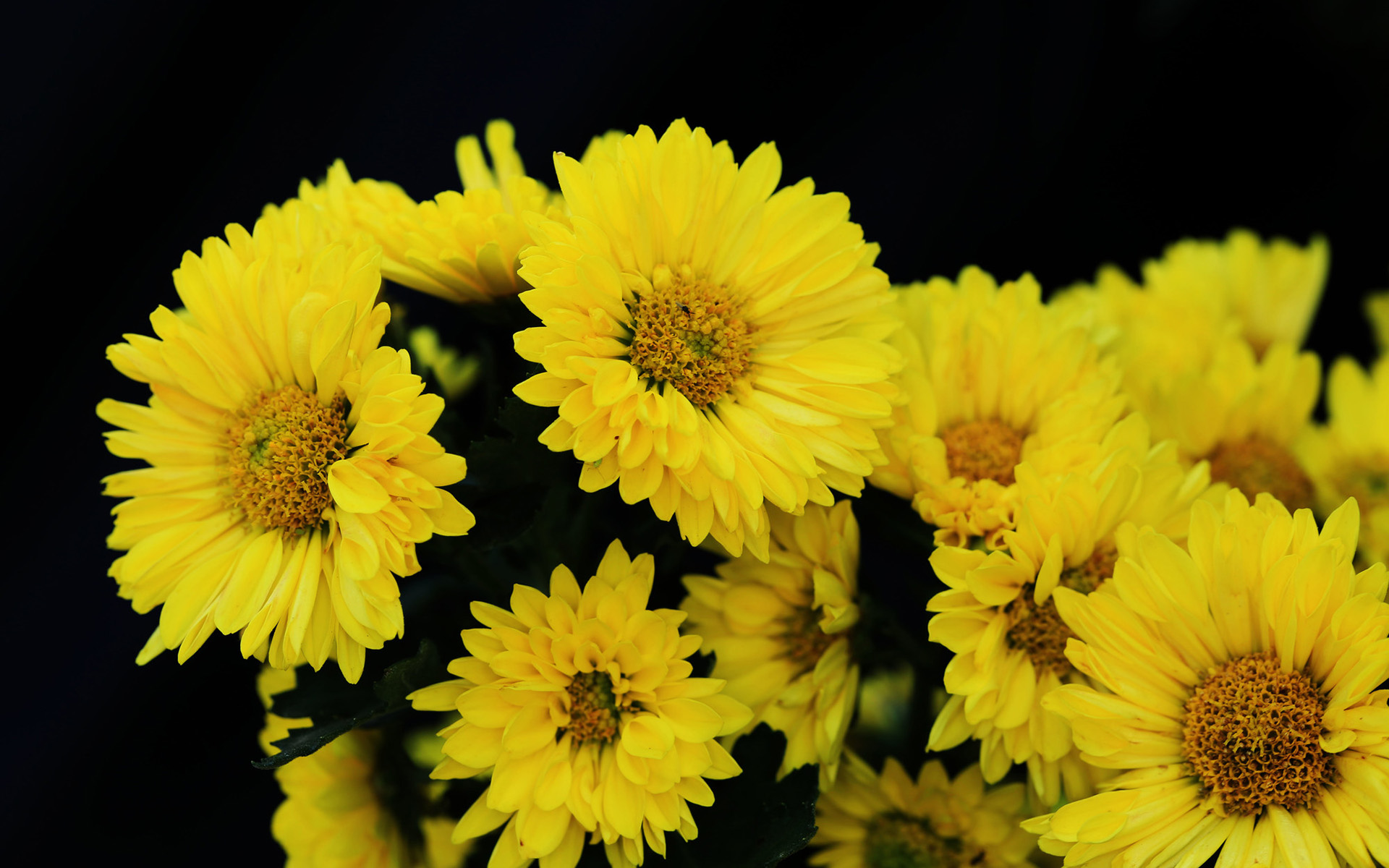 为什么女人下巴易长痘痘?