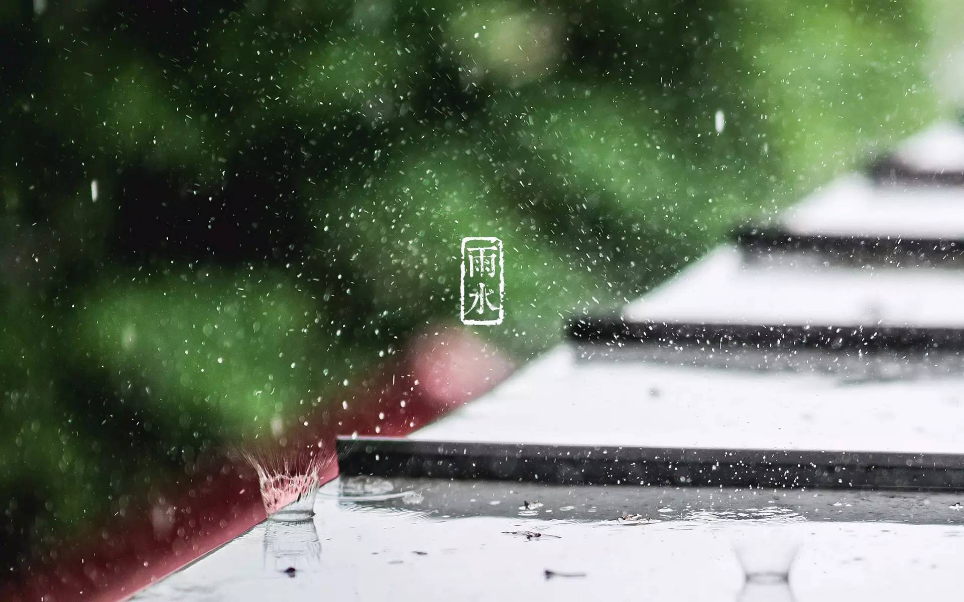 沾衣欲湿杏花雨,吹面不寒杨柳风|雨水|节气|草色_新浪新闻