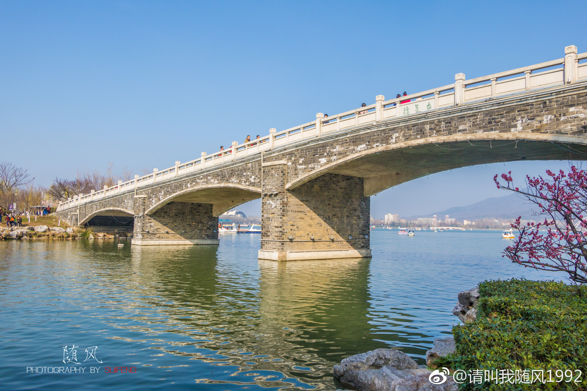 周末,玄武湖必然是好去处_新浪看点