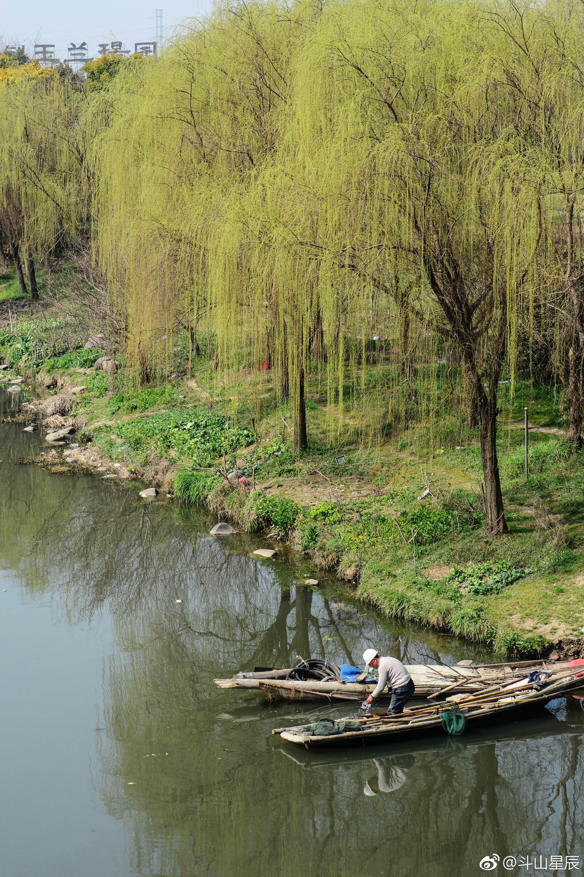 春风又绿江南岸无锡已一派春色摄于锡山区东北塘街道
