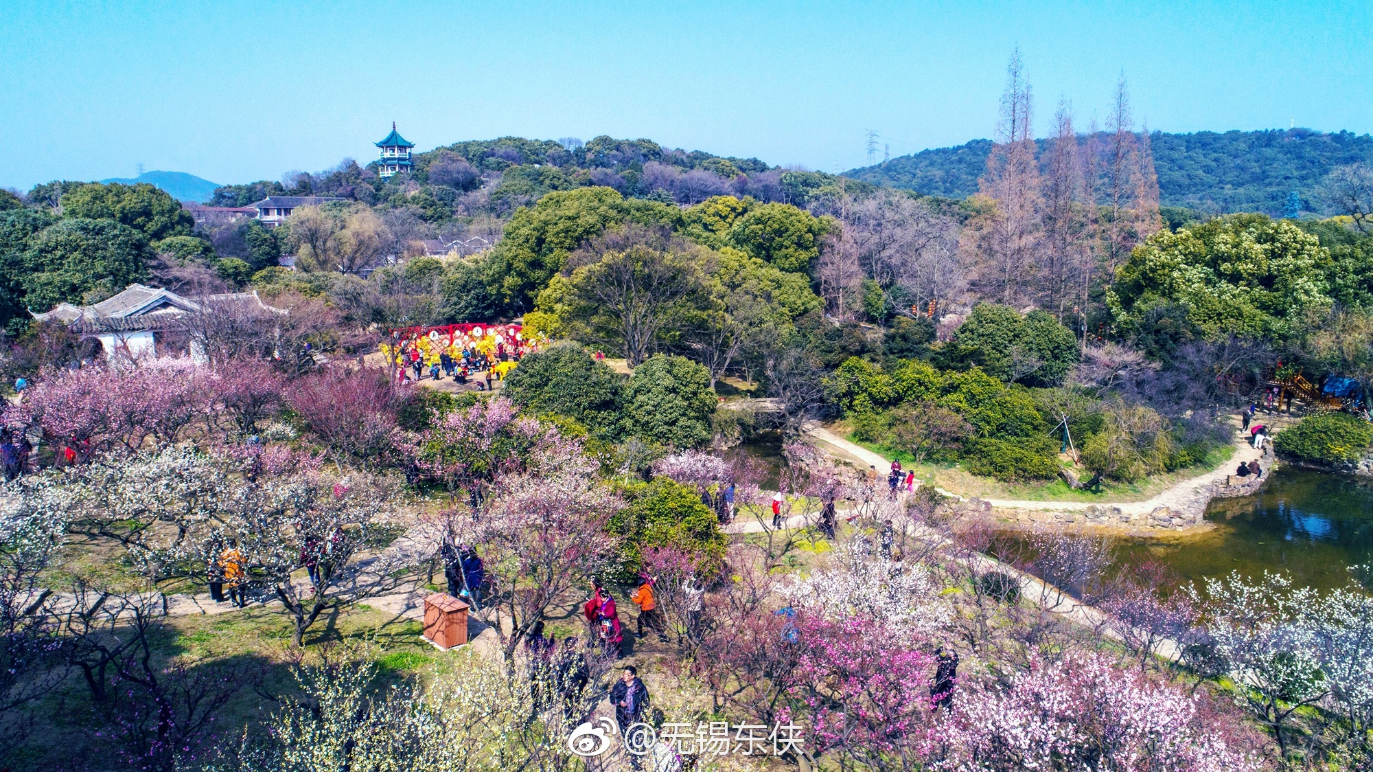 无锡的梅园是我国著名的赏梅之地之一.现在换个视角看梅园