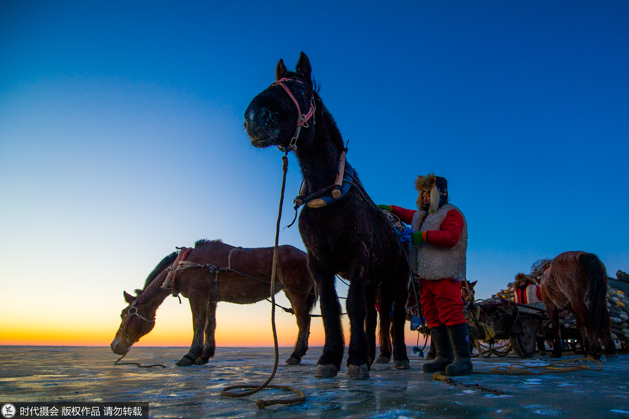 探秘查干湖壮观冬捕 看渔队如何将一网60万斤大鱼从冰下捞上岸