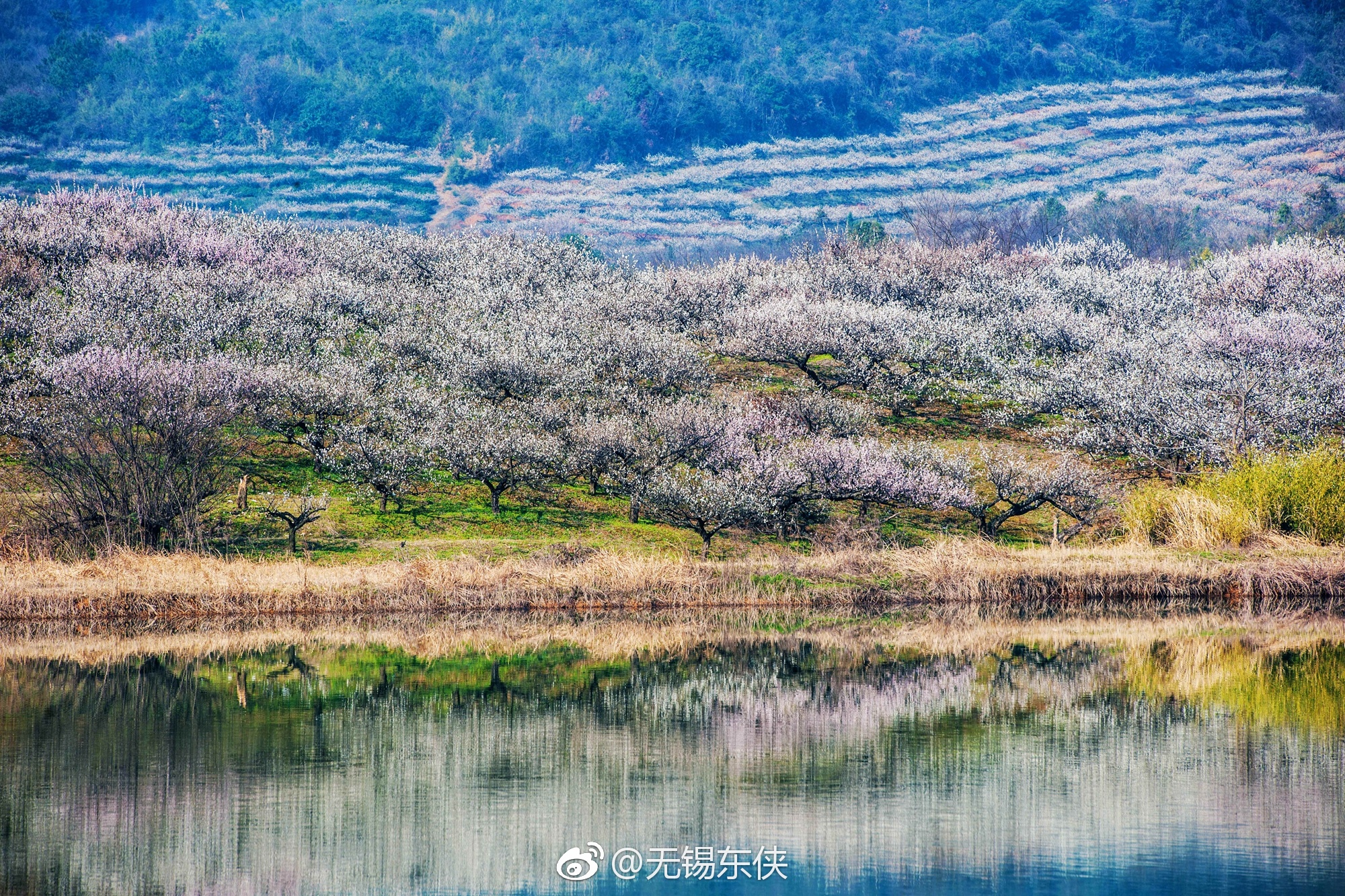 宜兴张渚镇区西面|宜兴|西面|张渚镇_新浪新闻