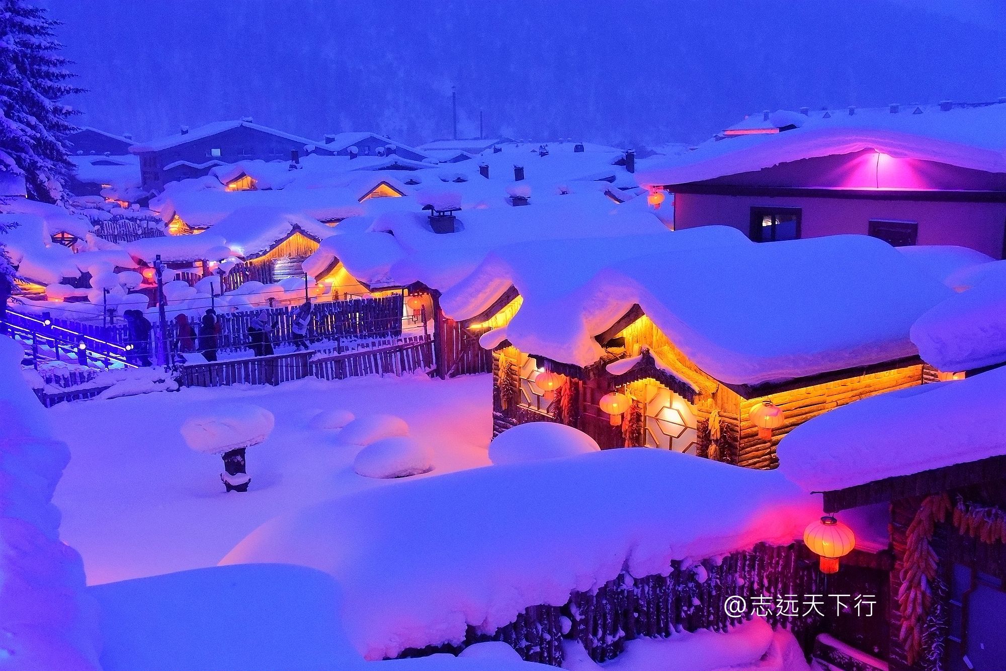 九月磨刀,三月杀猪,雪乡一个农家旅馆一个冬天就可赚几百万