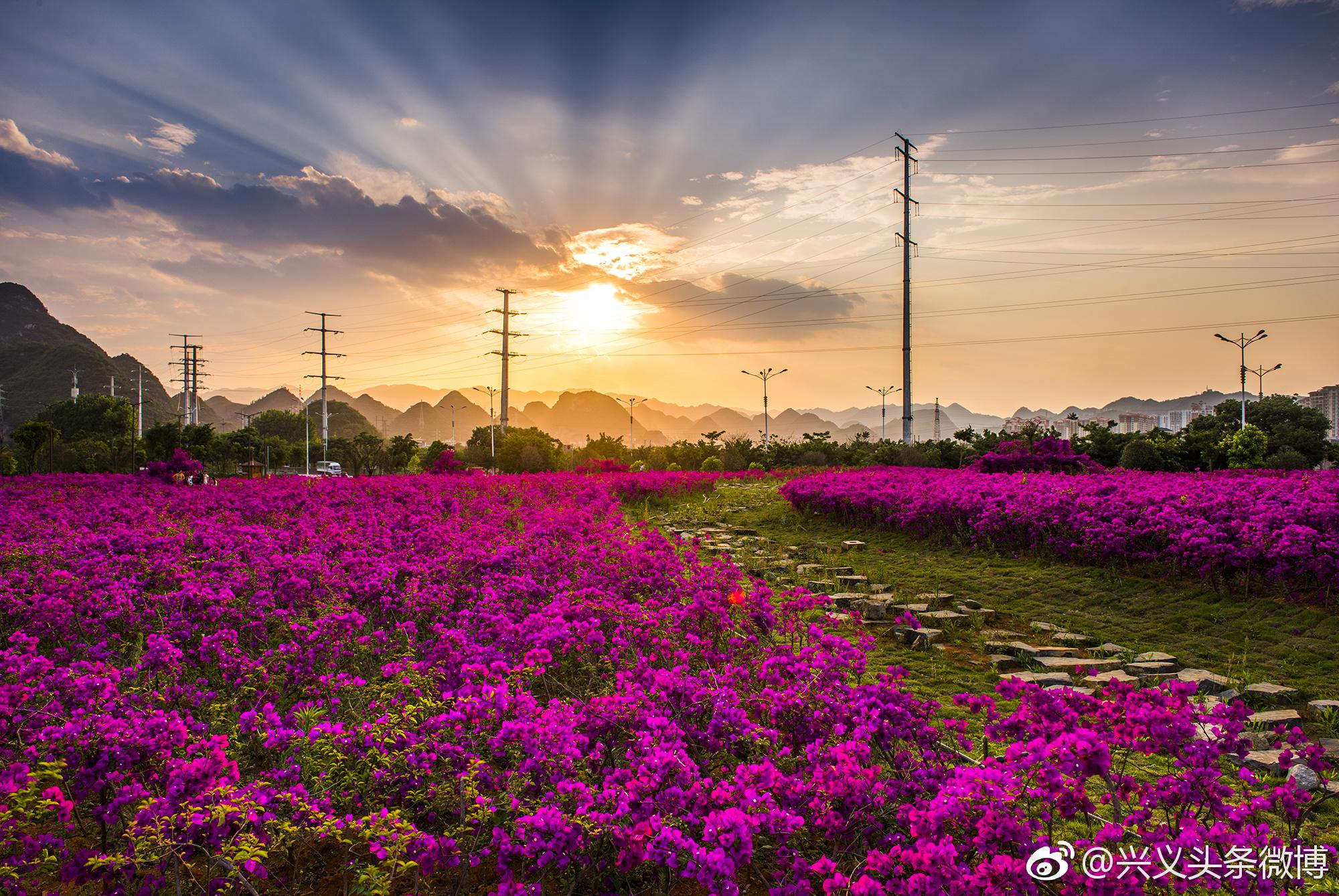 兴义市获评首届中国十大养生城市之一!