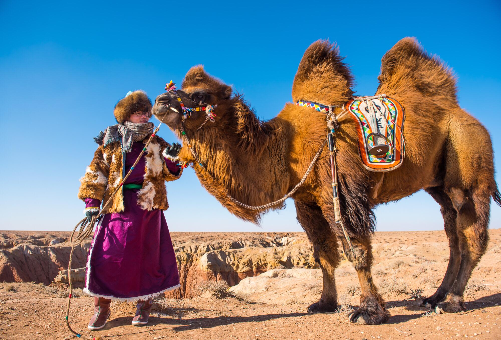 游客第一次骑骆驼就玩命狂奔15km,还在苏尼特右旗发现神秘红峡谷