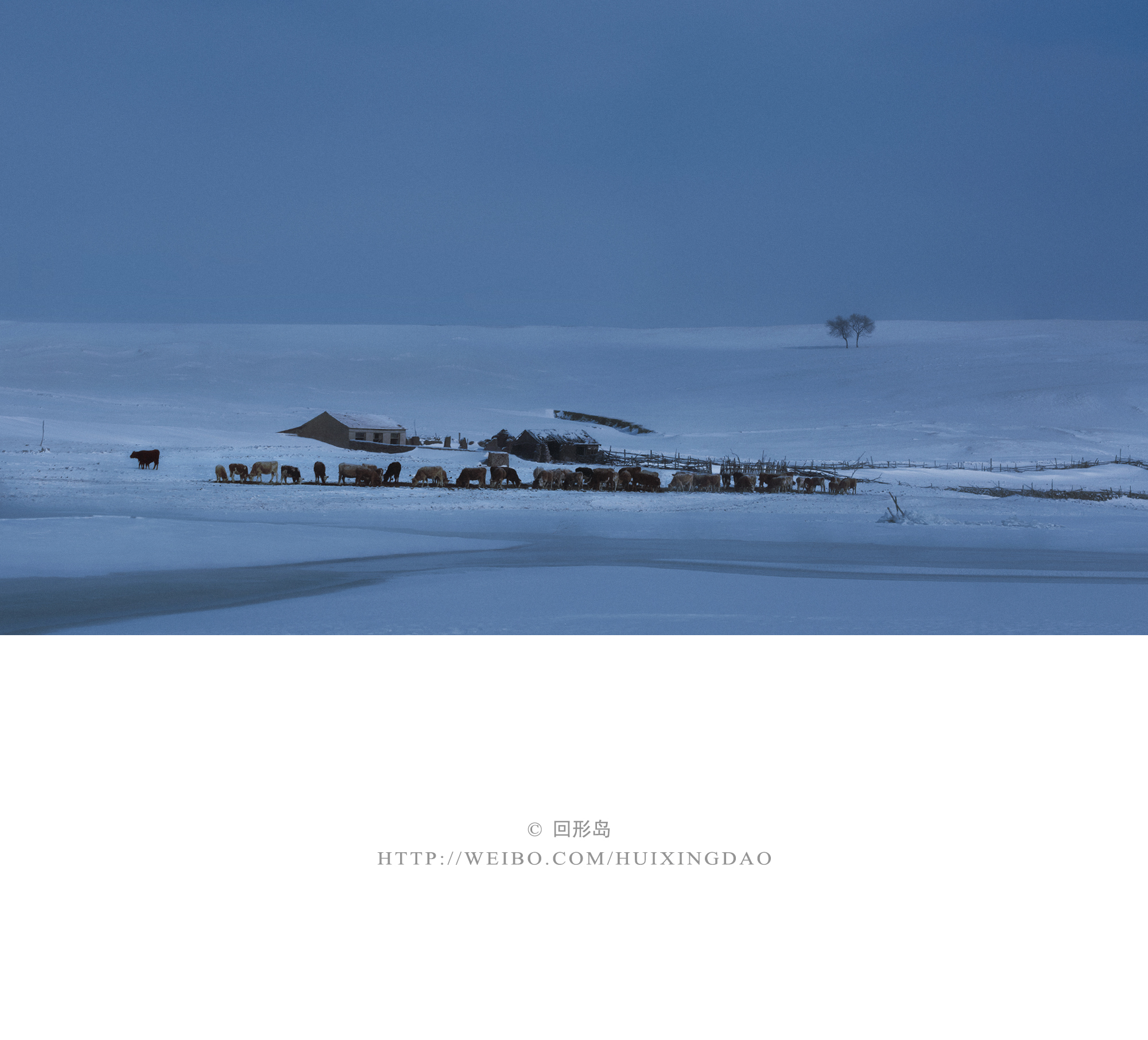 北国,雪夜。|雪夜_新浪新闻