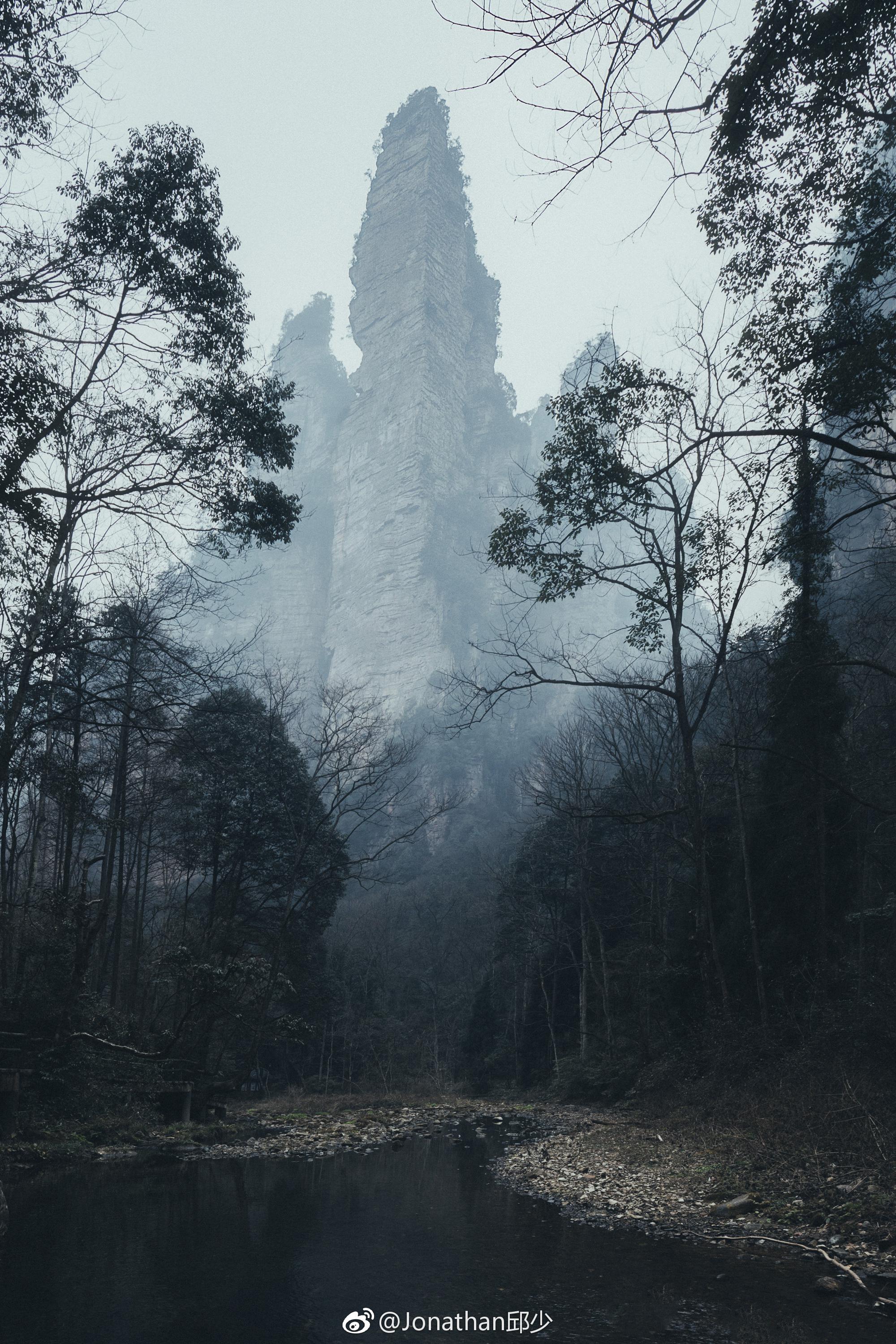 你所忽视的雾中风景,是沉默如谜的呼吸.摄于张家界武陵源.