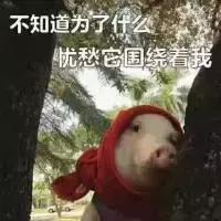 高新区户口想在天府新区买房咋办,第三方代缴