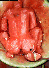 202_280gif 动态图 动图