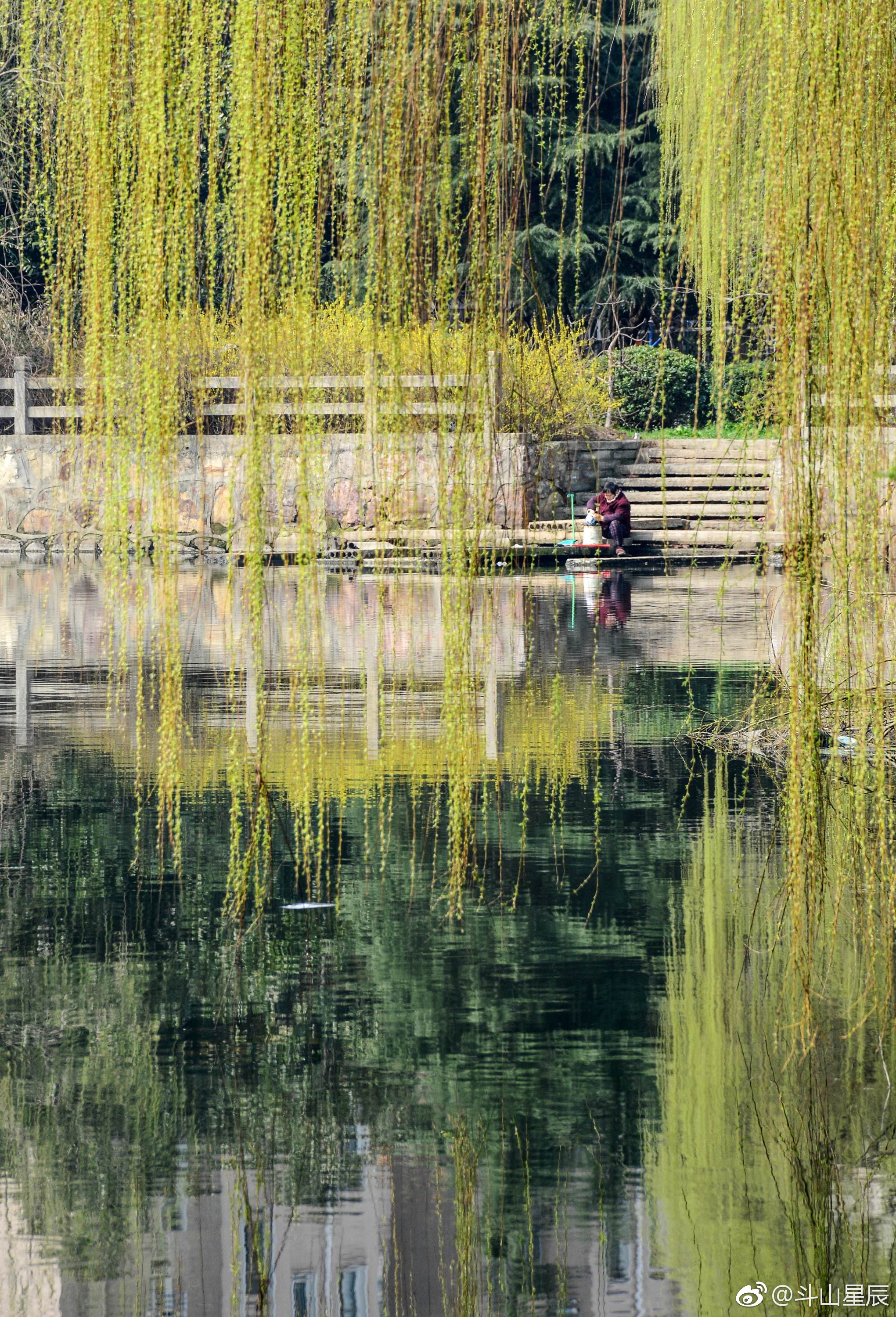 春风又绿江南岸无锡已一派春色摄于锡山区东北塘街道