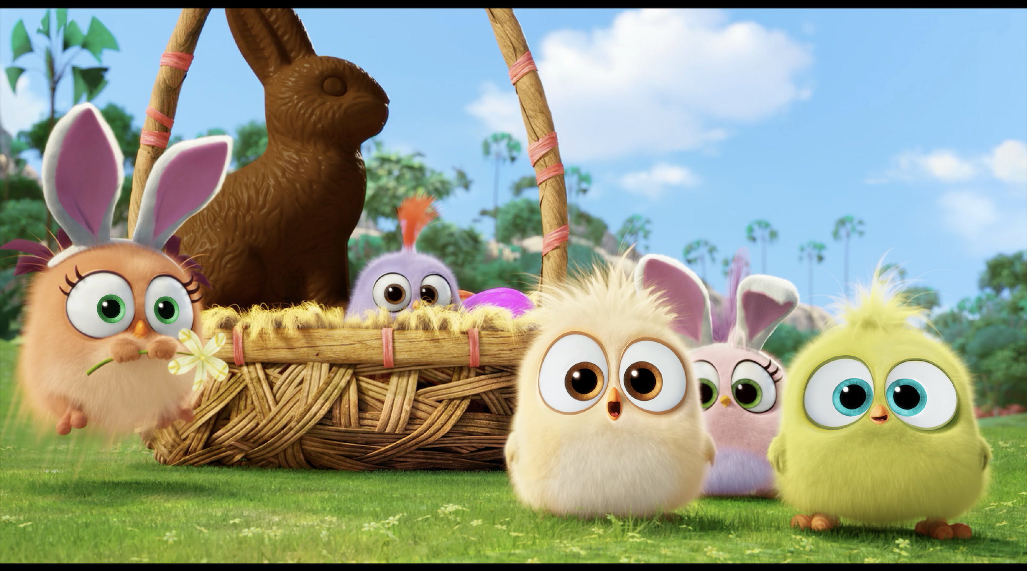 《愤怒的小鸟》番外短片合集:全是毛茸茸的鸟宝宝,软软的奶音实在太萌