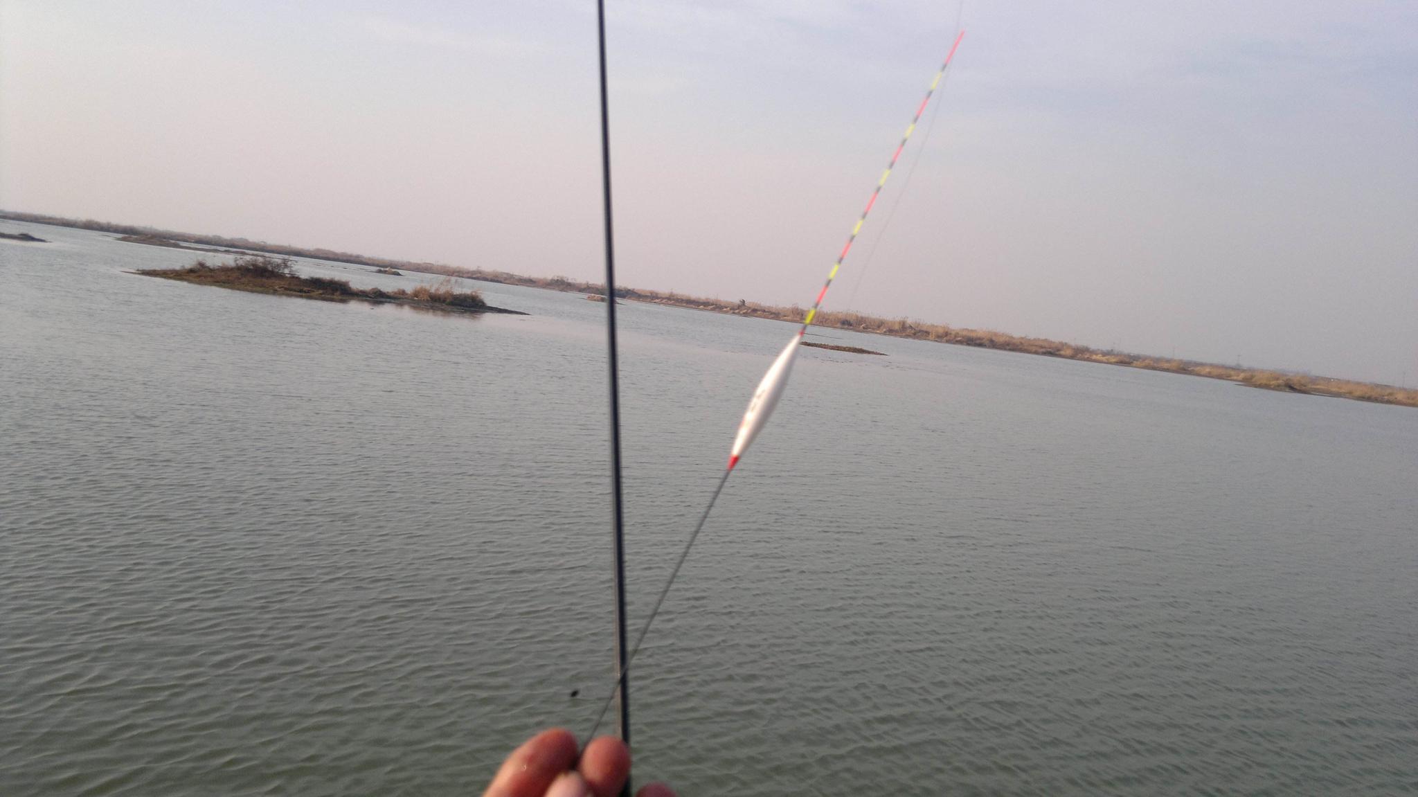 购买浮漂时要考虑的4个因素,尤其是钓鱼新手你要考虑到位!