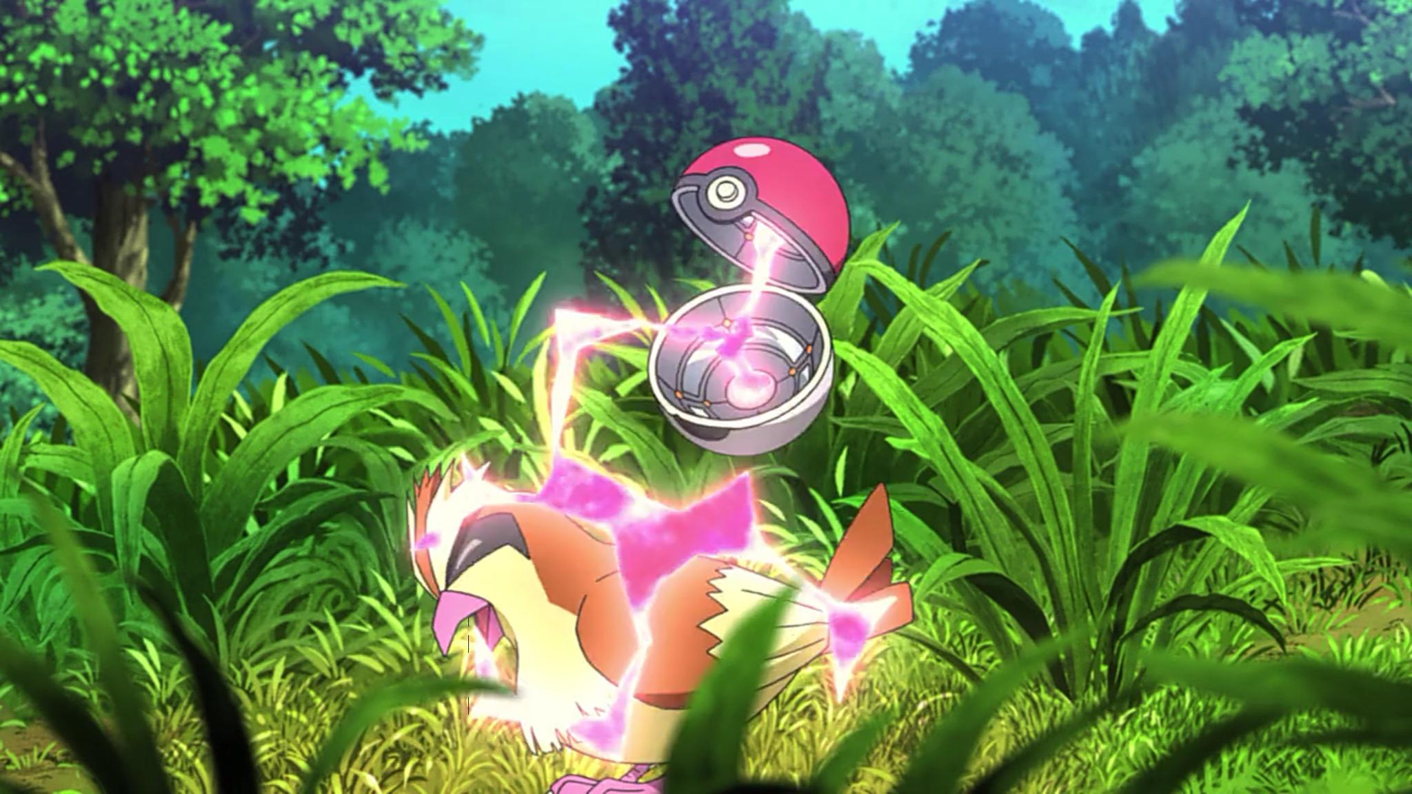 小智之所以是飞行系大师,完全是被皮卡丘逼的,它说它缺个坐骑!