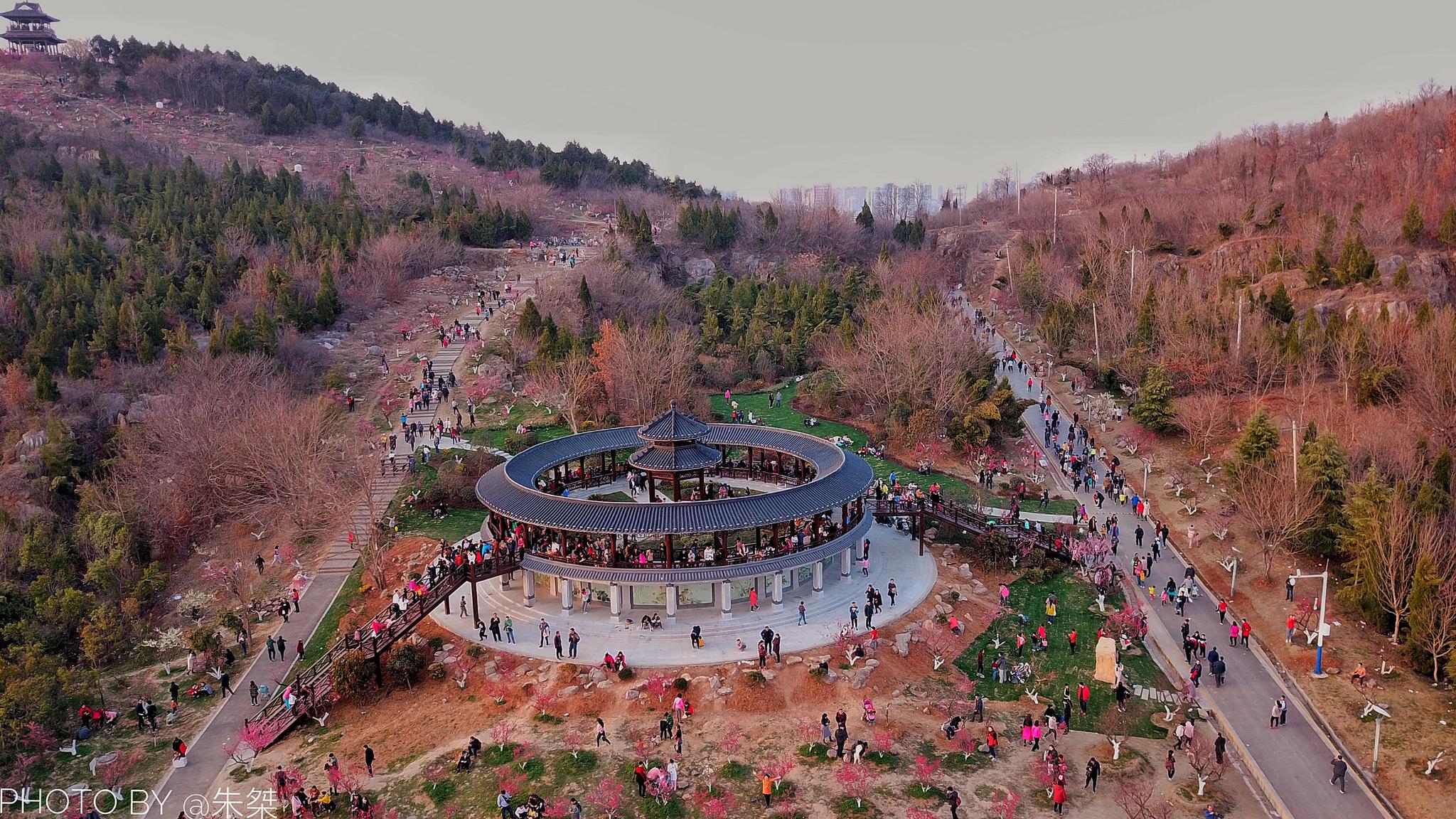 每当这个时候,淮南的梅花盛开,人气最为旺盛的便是舜耕山上的这尽千株