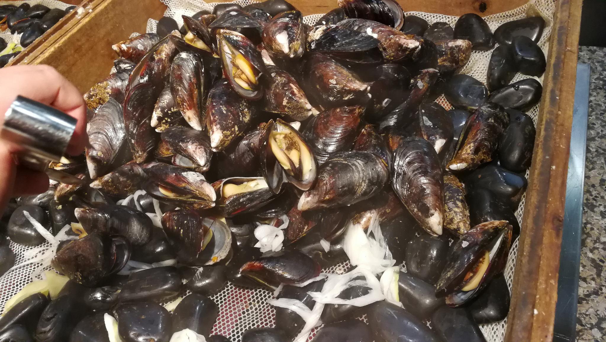 多伦多海鲜盛宴,我想做大胃王