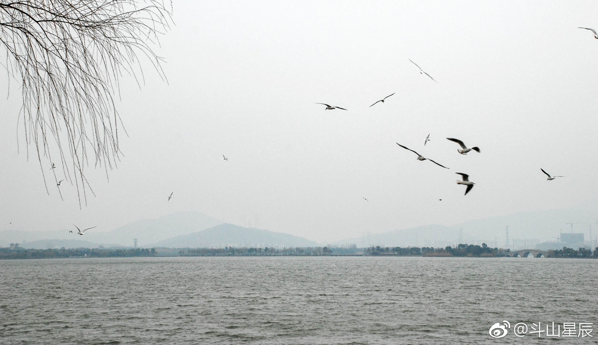 这是2011年的今天,摄于无锡太湖边.