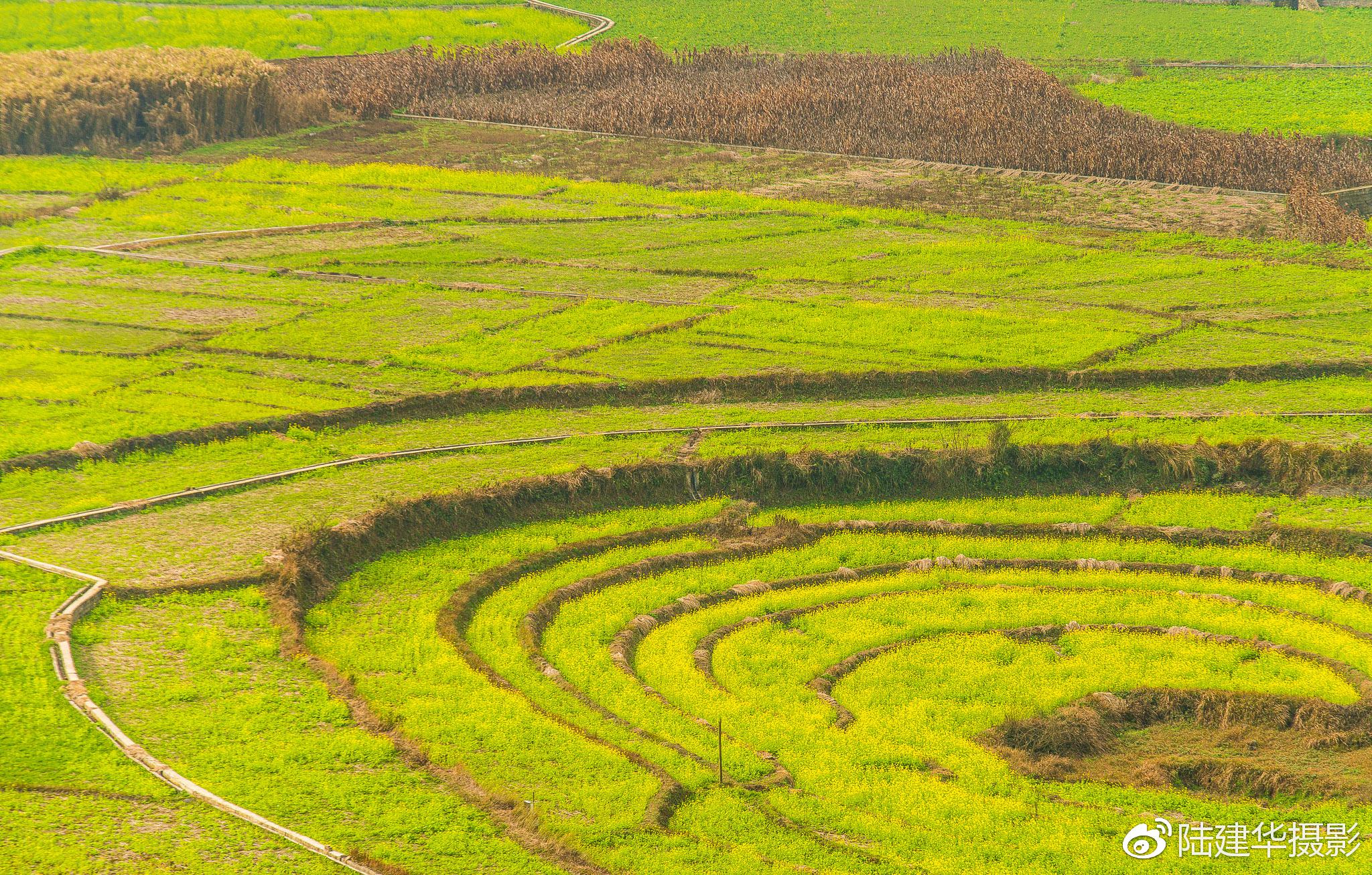 万峰林八卦田,大地上的一颗黄金眼|万峰林|兴义|八卦_新浪新闻