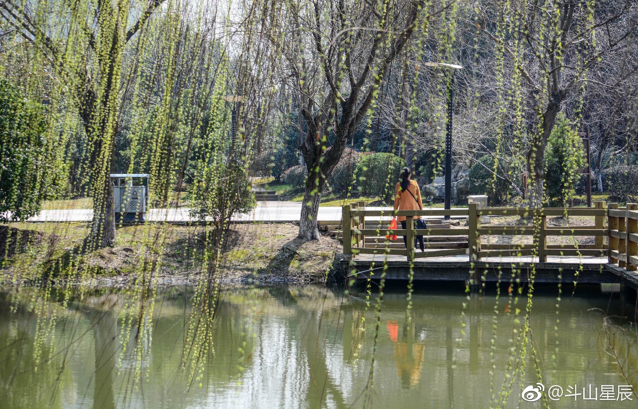 春风又绿江南岸无锡已一派春色摄于锡山区东北塘街道