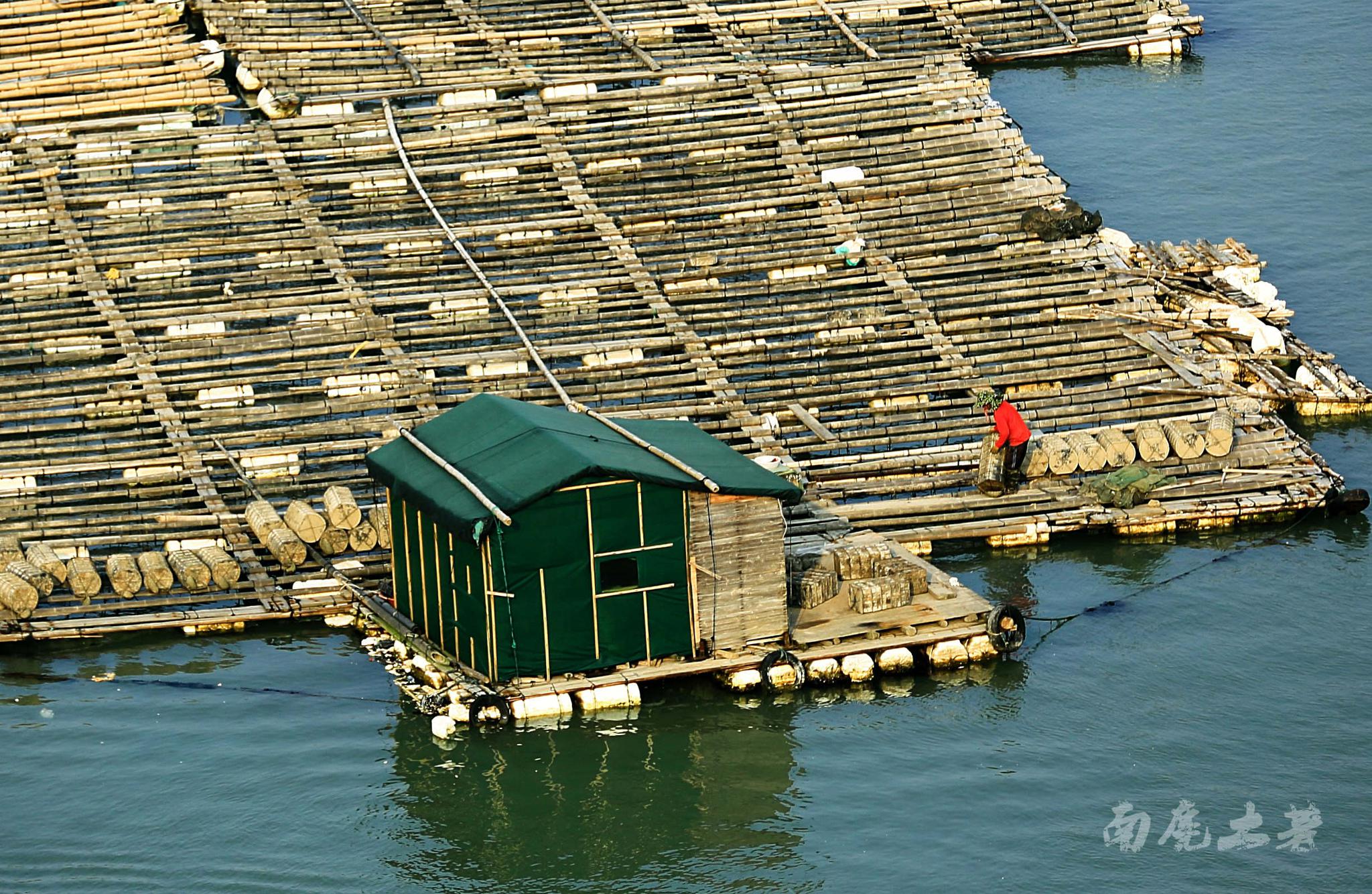 霞浦海上渔村被誉为中国的威尼斯