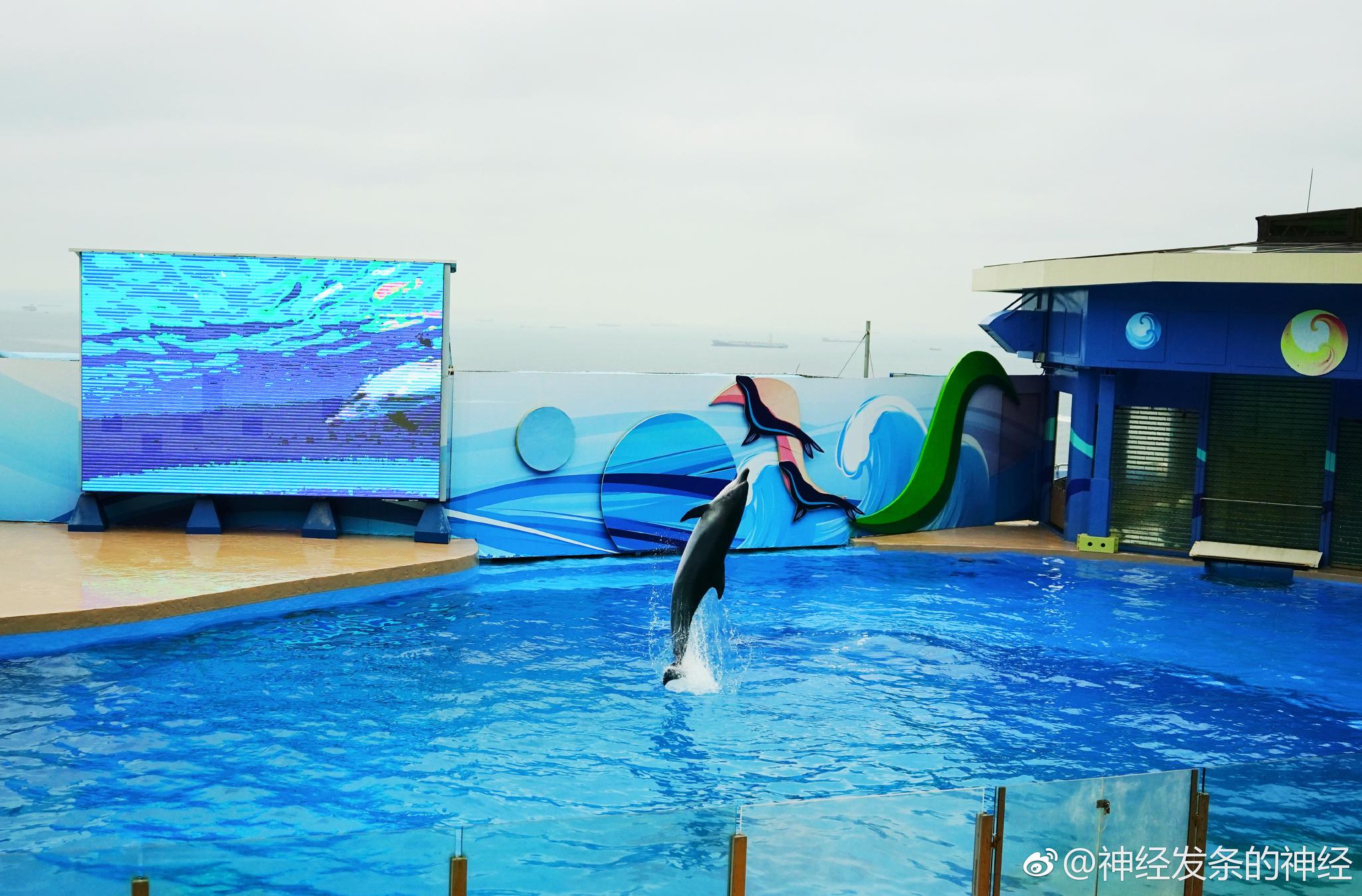 从佳能60d到尼康d610,再到索尼a7m2,短短一个