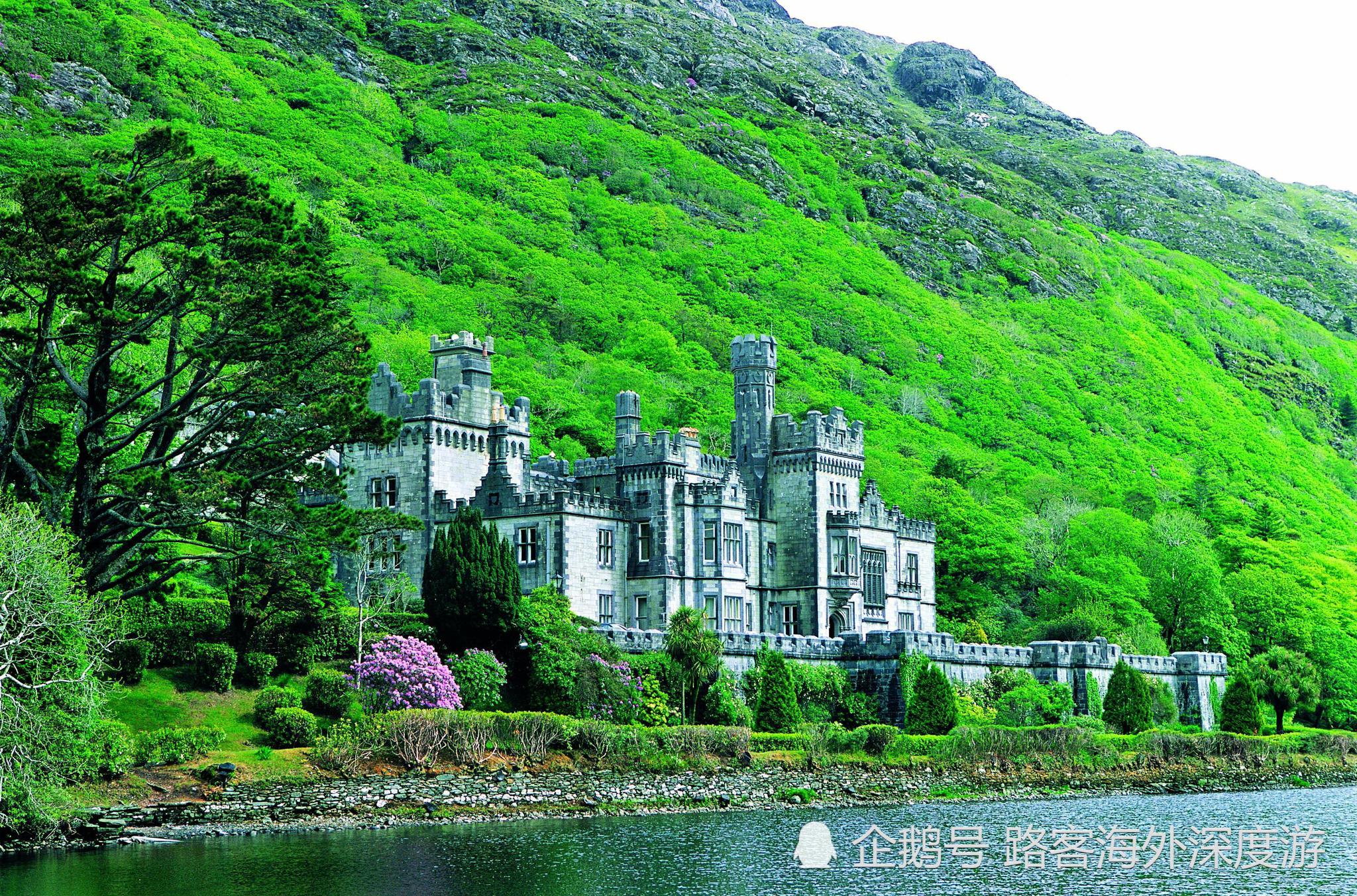 圣女修道院txt下载