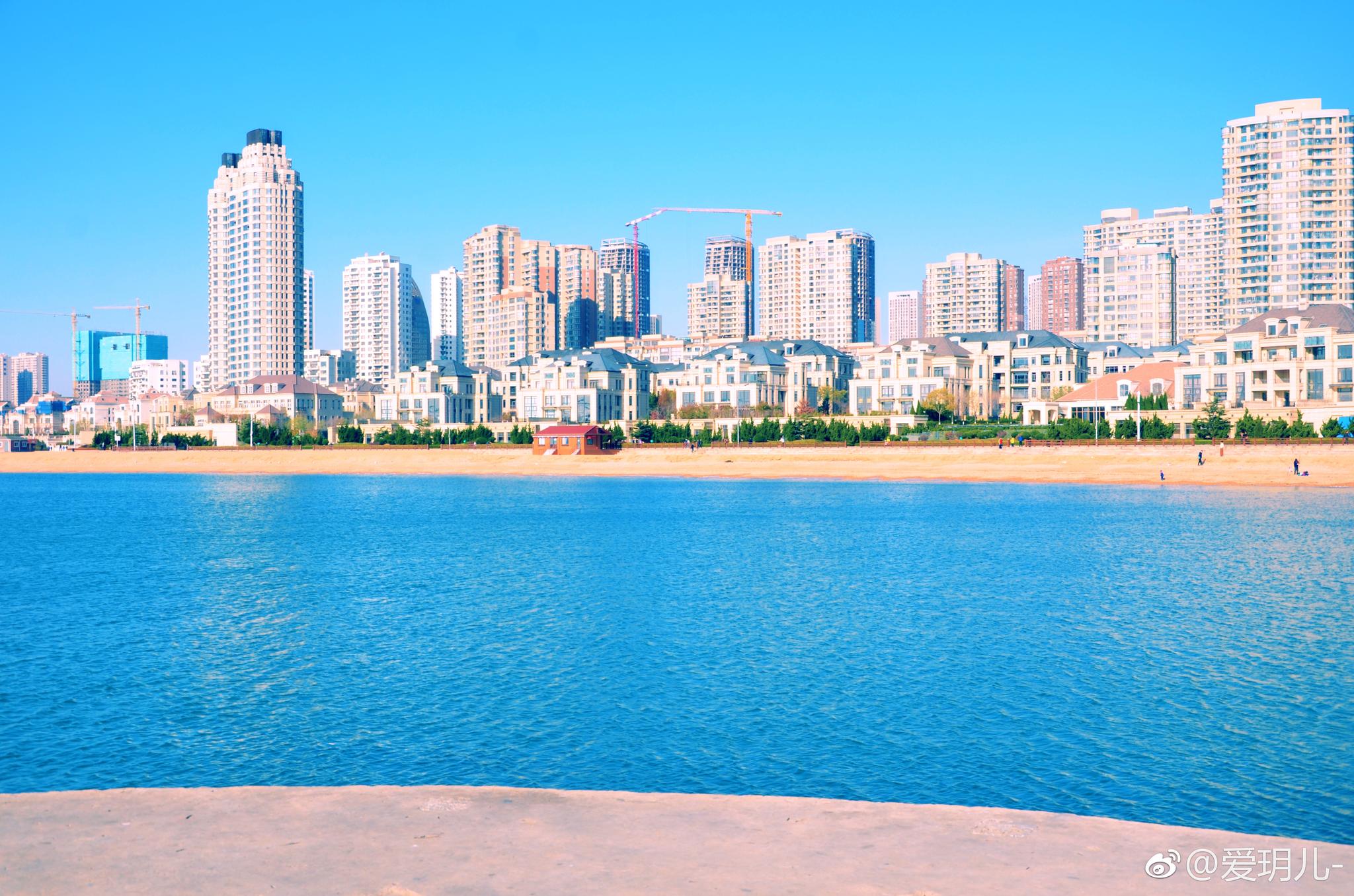 大连星海广场,海鸥,海星,海钓,海桥