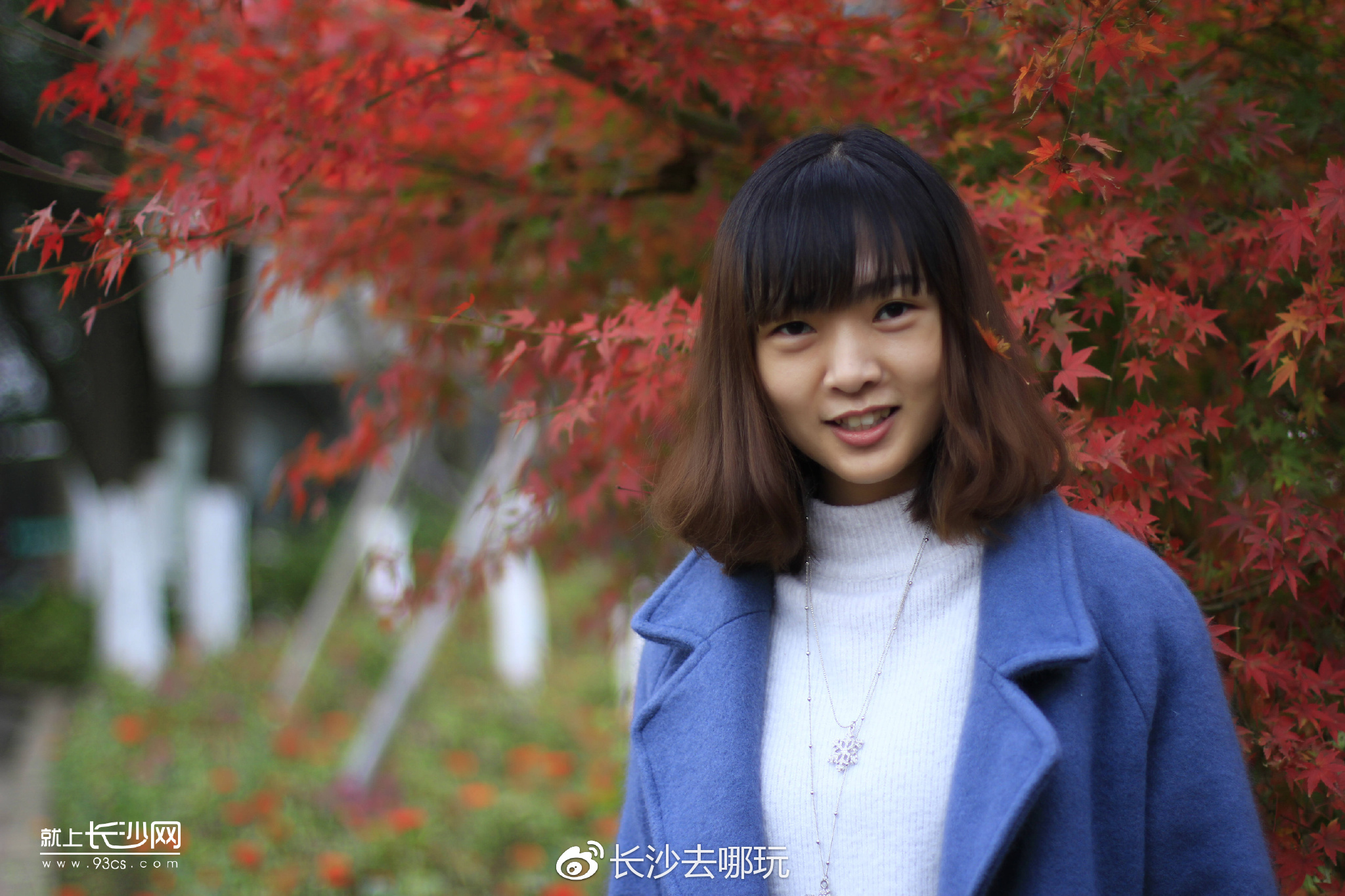 你在长沙城里过冬天植物园却美成了春天