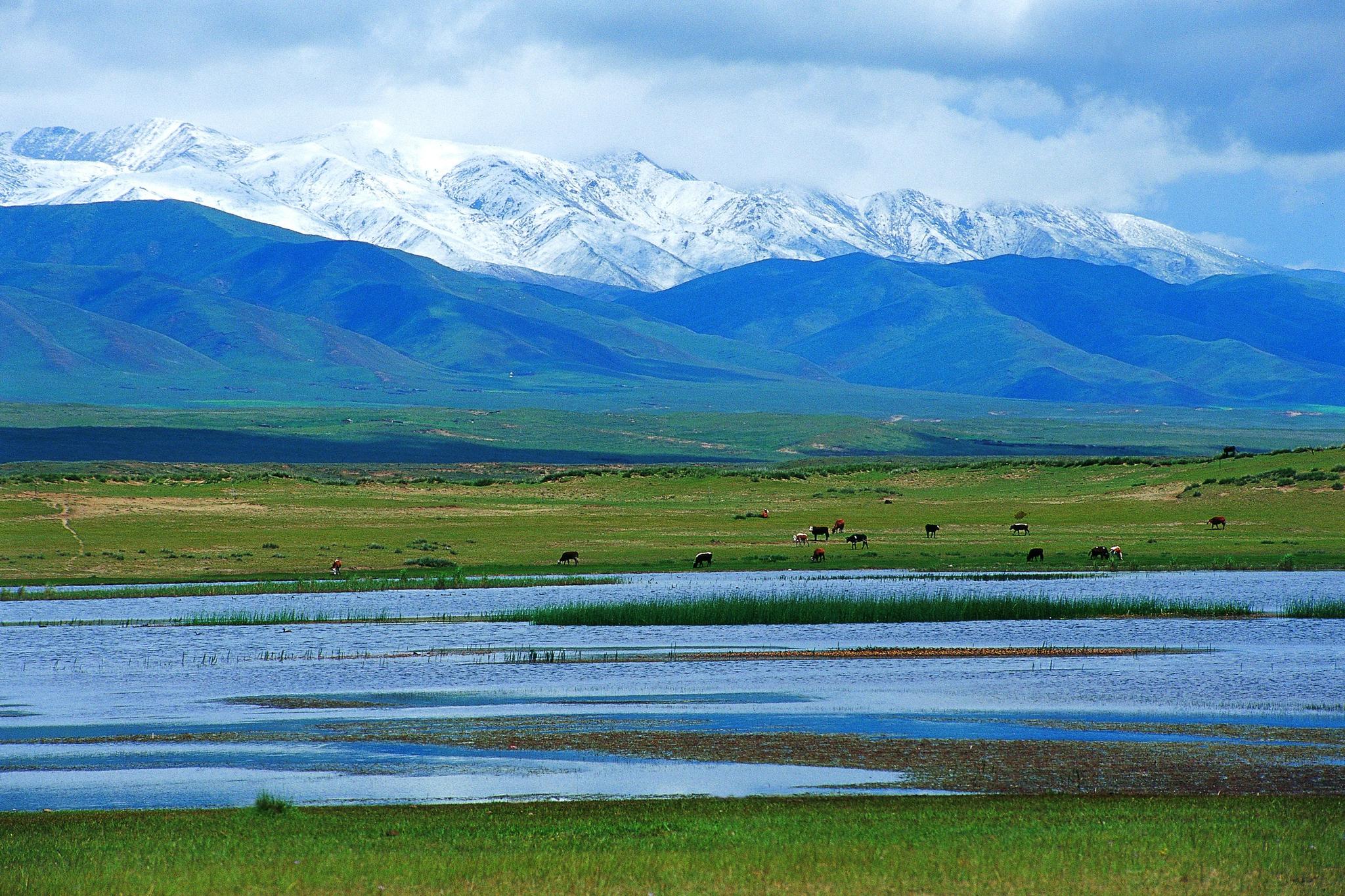 倒淌河也是天下奇观了,大河向东流,它偏向西