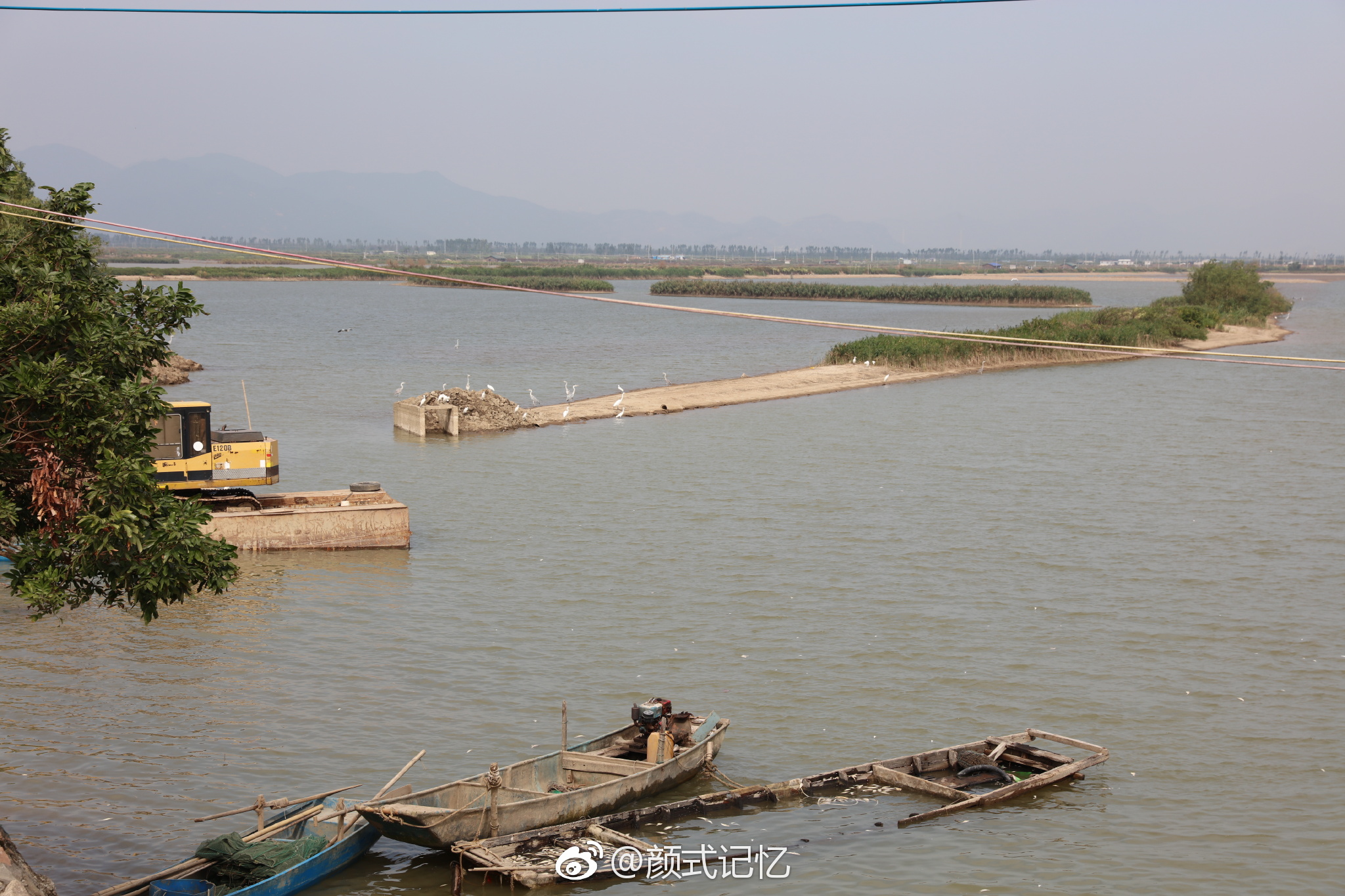 分享图片:湿地鹭鸟图一一南海边我地围垦湿地看景观鸟(镜头欠长