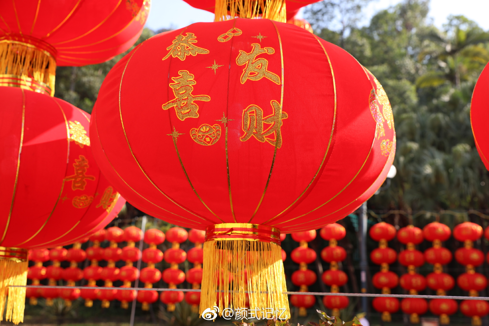 分享图片:年,年味,张扬中国红|中国红|张扬|图片_新浪新闻