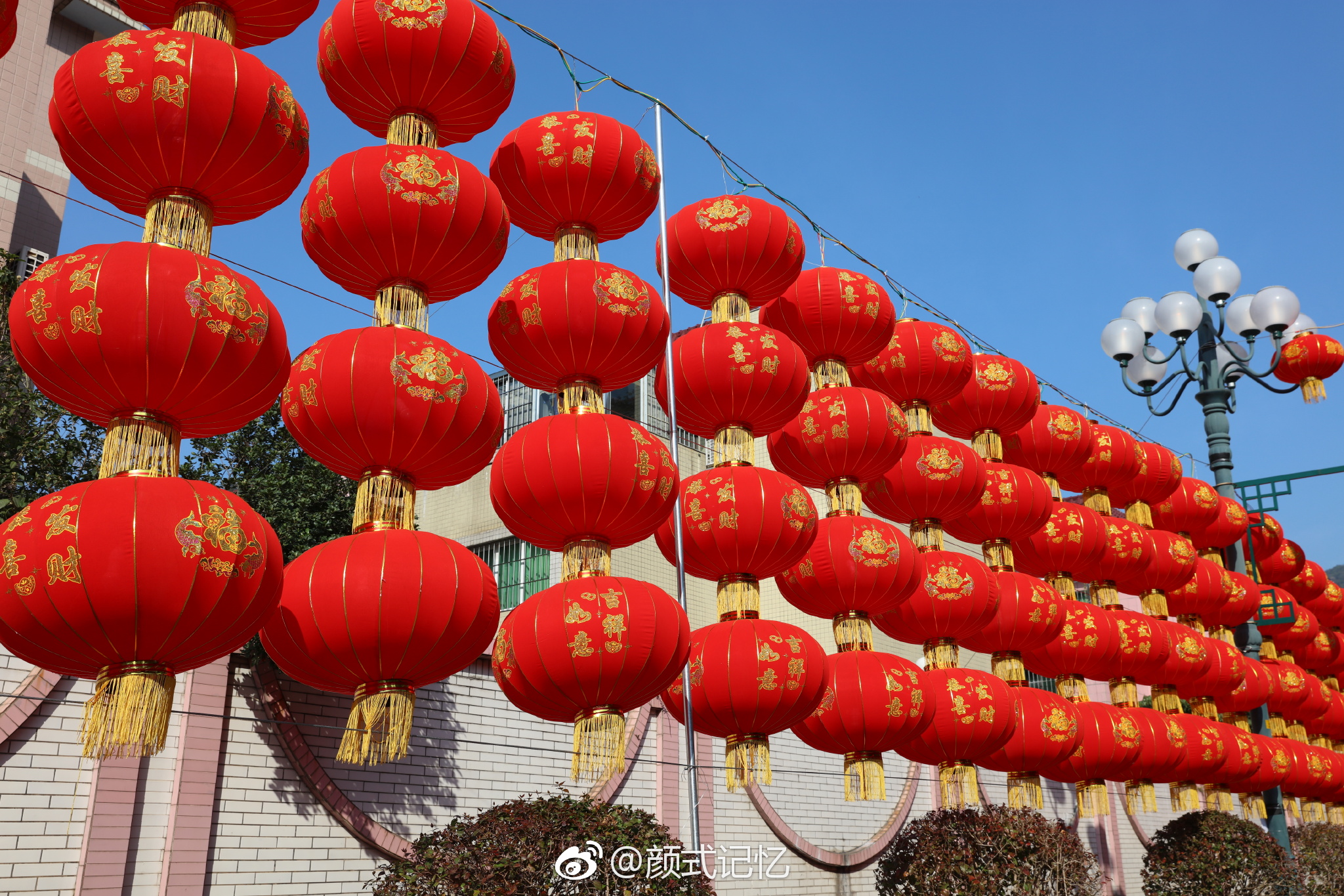 分享图片:年,年味,张扬中国红|中国红|张扬|图片_新浪新闻