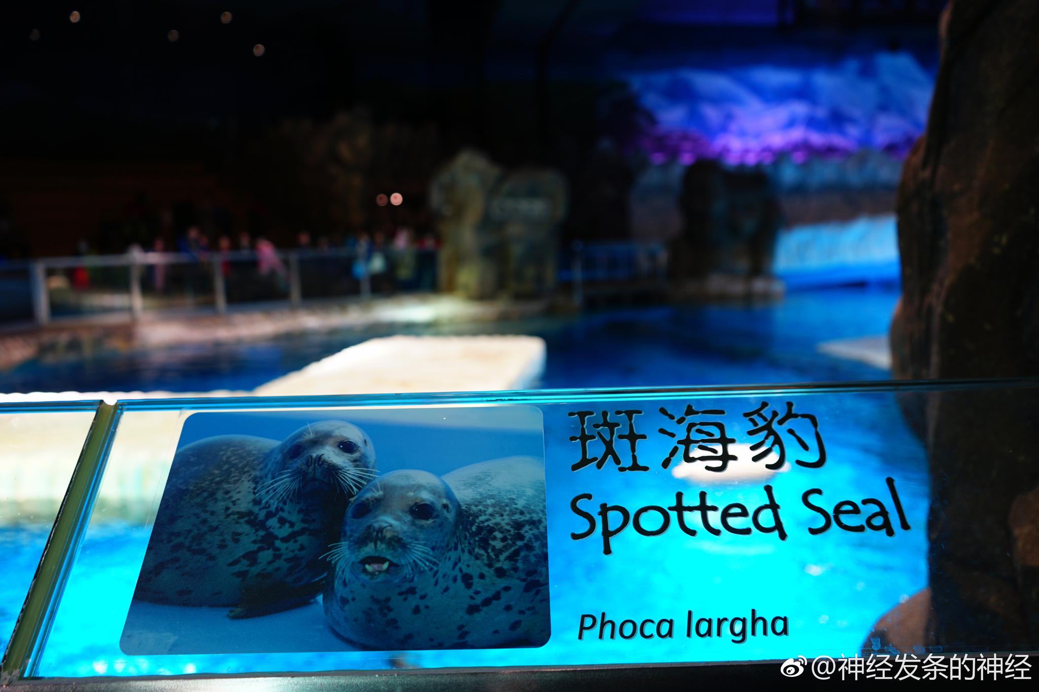 从佳能60d到尼康d610,再到索尼a7m2,短短一个