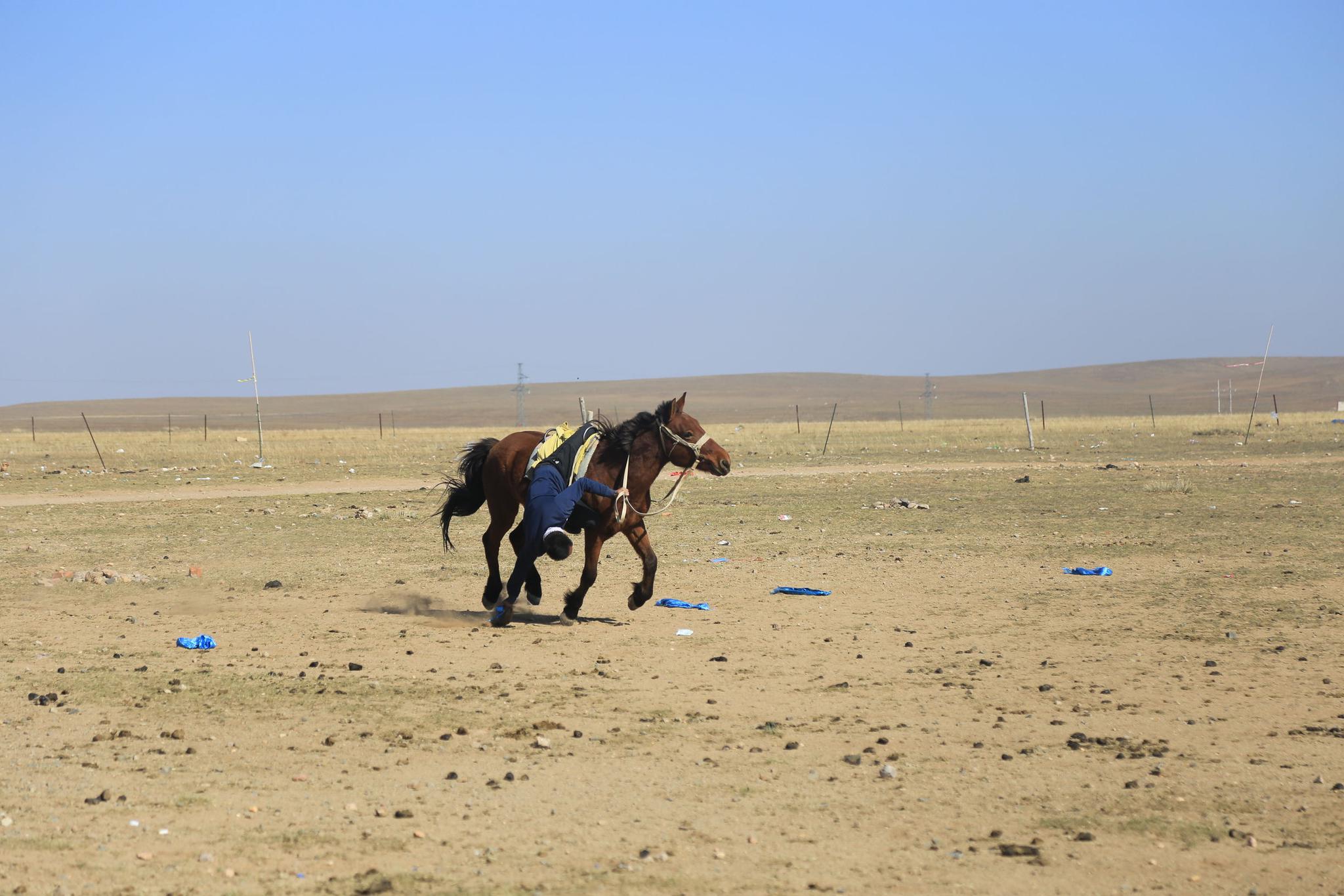 旅行摄影:他们策马奔腾在浩瀚无垠的草原上,唱着热情的歌颂生活