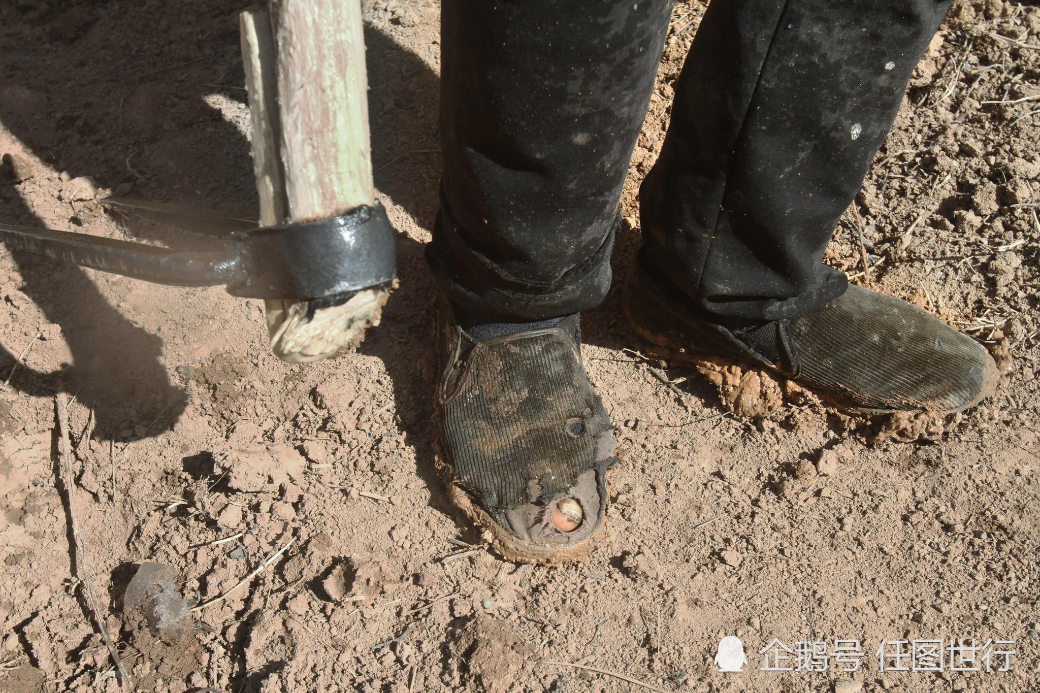 老人隐居深山洞穴放牧,挣钱是为还娶儿媳时欠的债