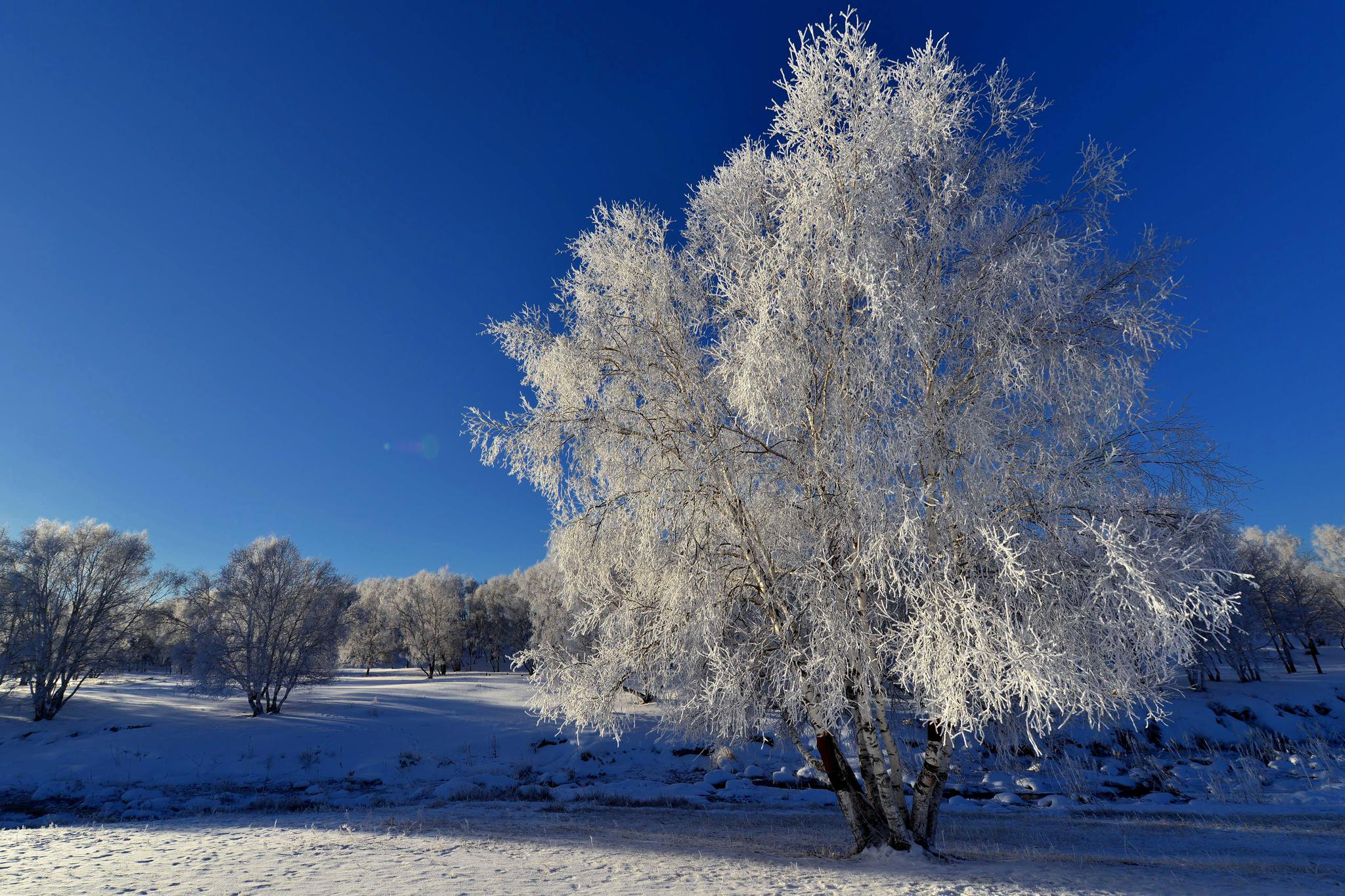初春的雪后坝上岂是一个美字了得